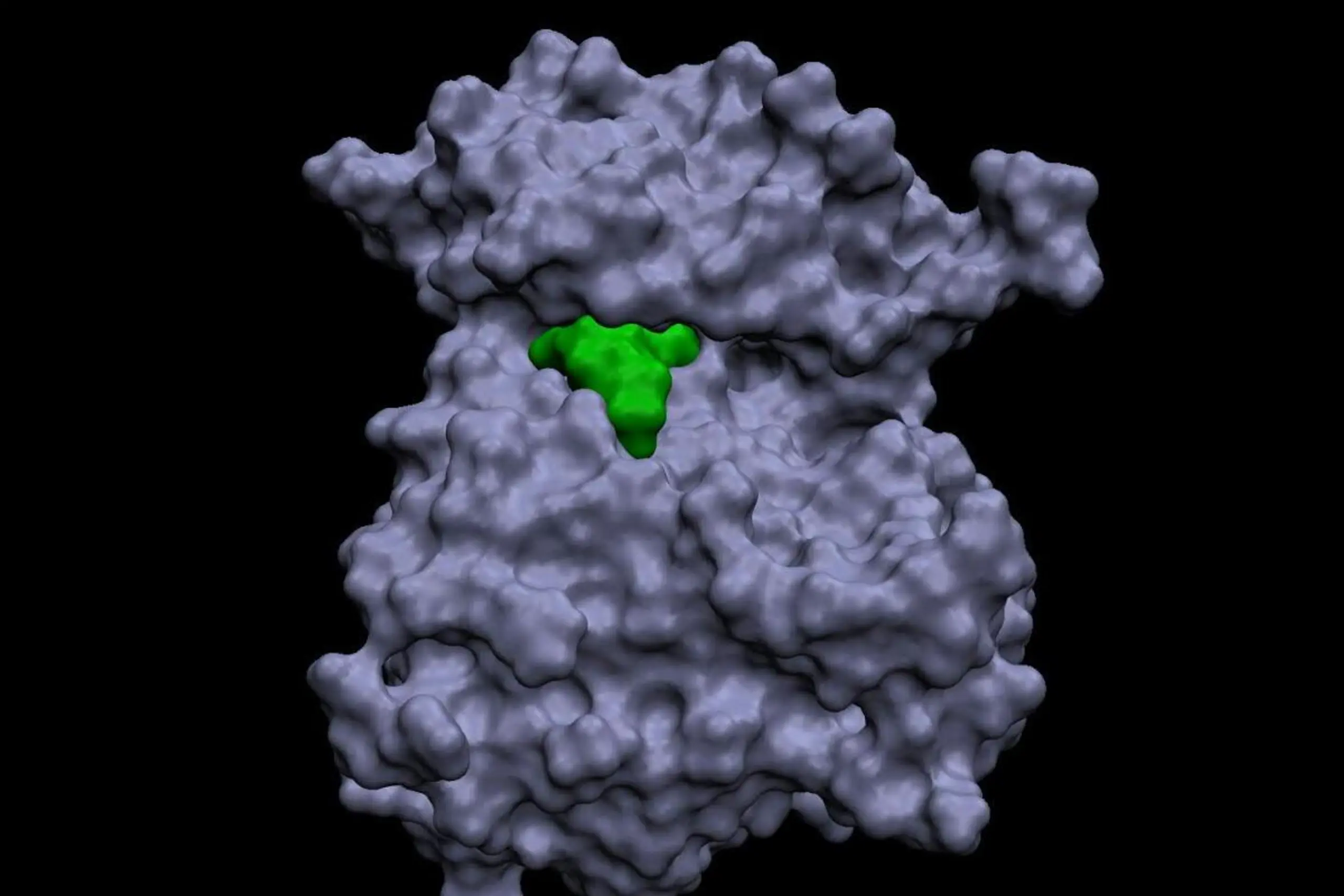 Die HER2-Genmutation verkleinert den Angriffspunkt für Wirkstoffe massiv