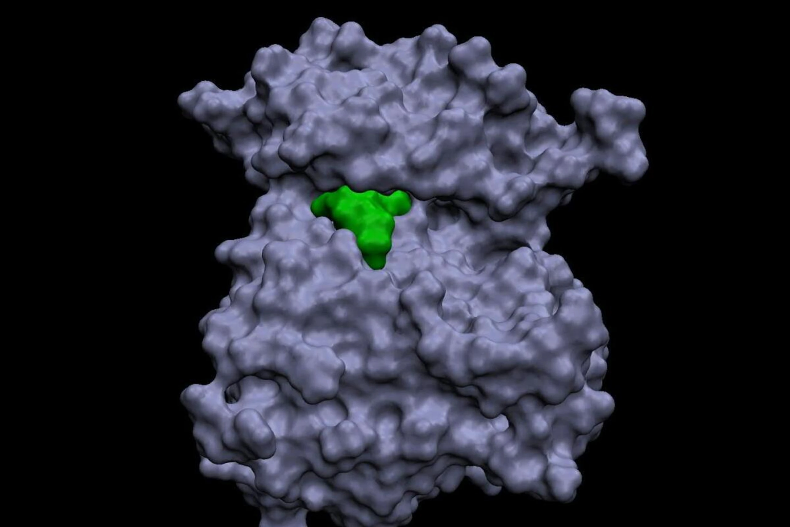 Die HER2-Genmutation verkleinert den Angriffspunkt für Wirkstoffe massiv