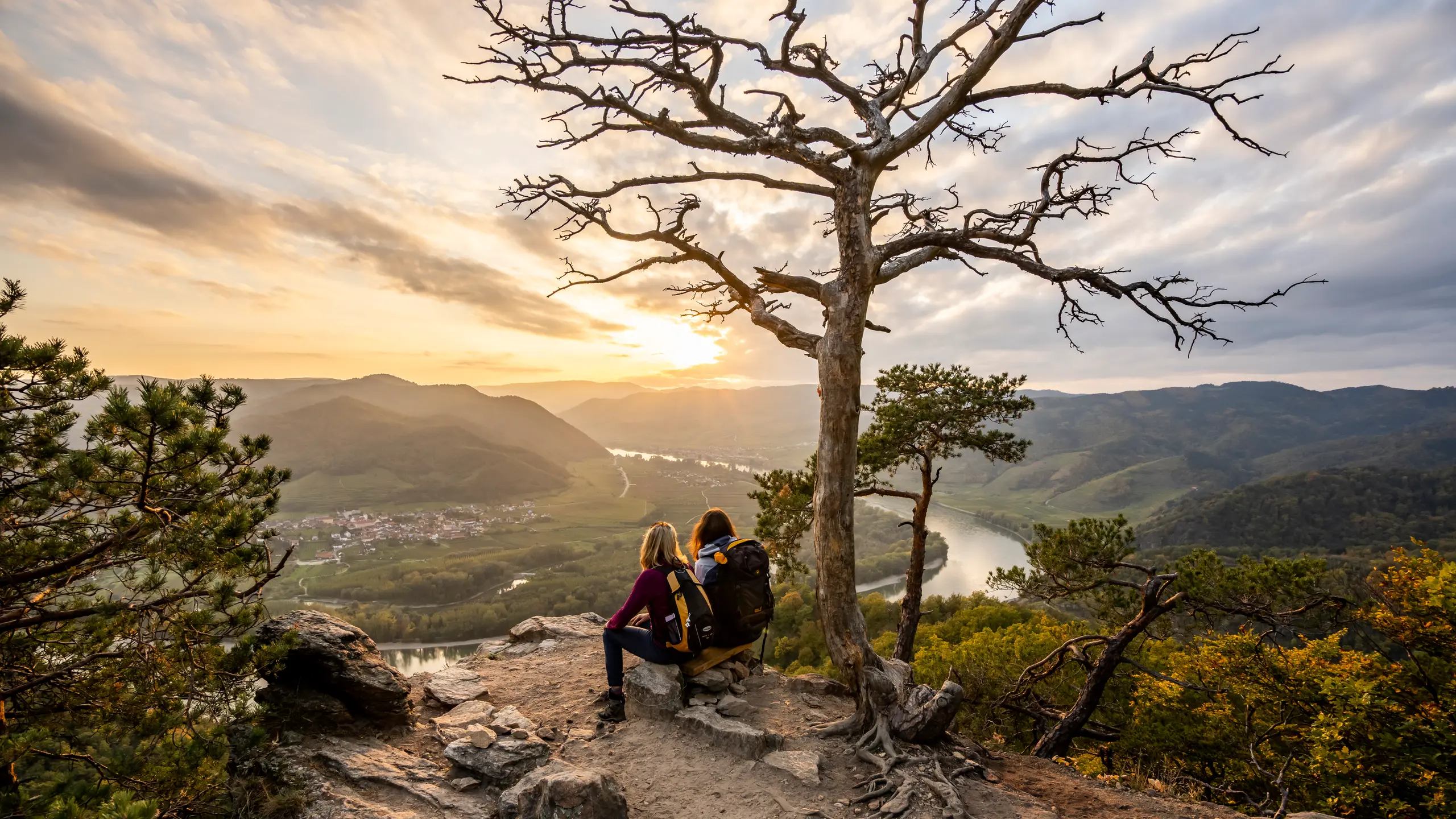 Naturaussicht Dürnsteiner Kanzel