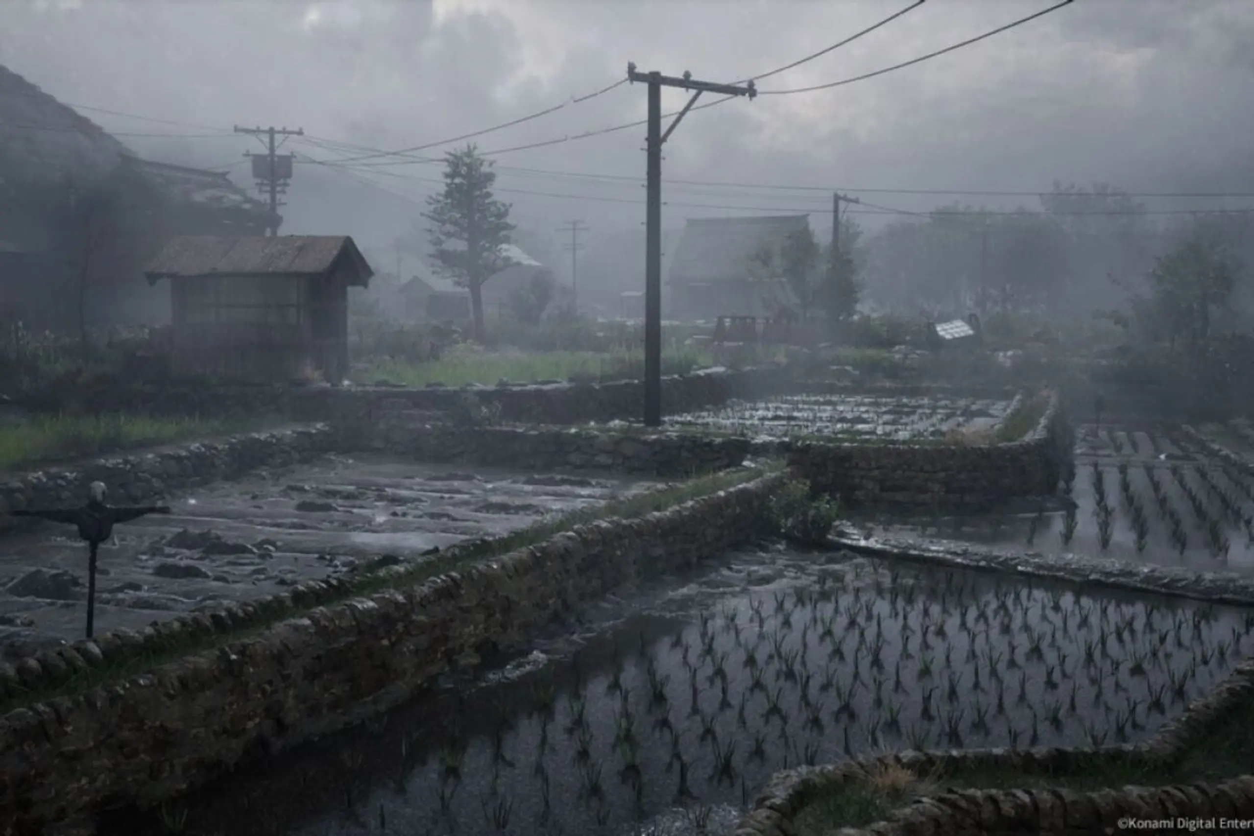 Wo lauert das nächste Monster, etwa in den Reisfeldern?