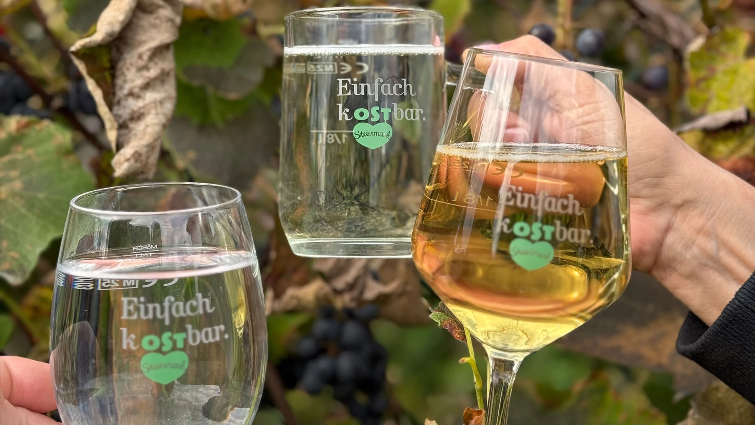 Neuer Markenauftritt: Die Oststeiermark zeigt sich „Einfach kOSTbar“