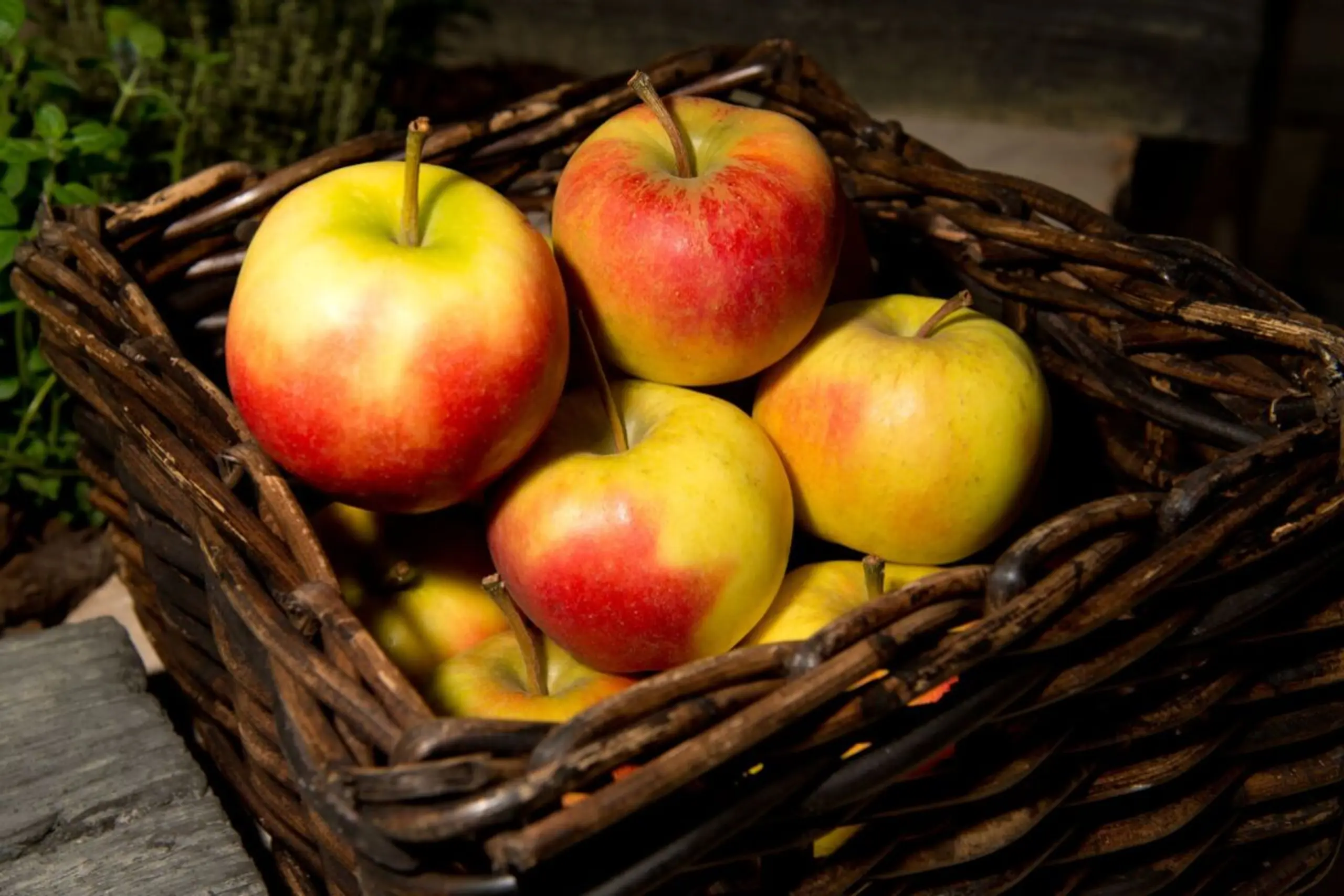 Kernobst sollte getrennt gelagert werden