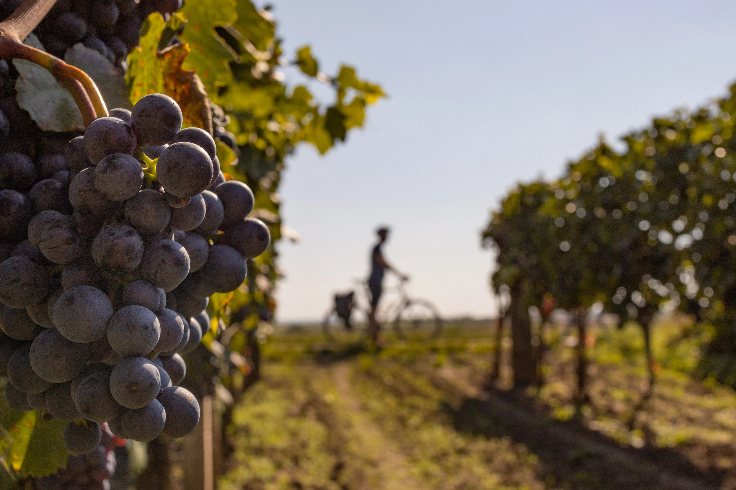 © Niederösterreich Werbung/Franziska Consolati Blurred image background