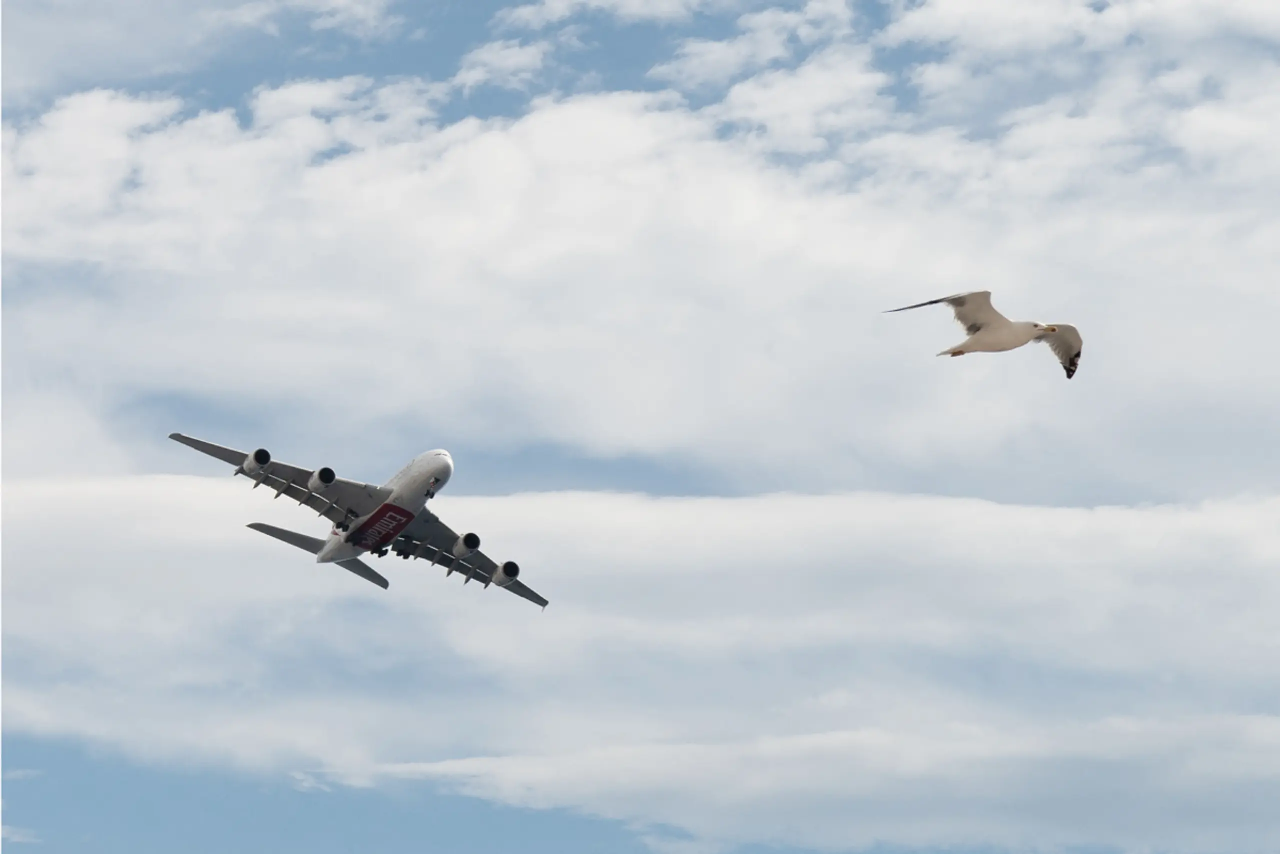 Lieferkettenprobleme sind teuer für Airlines