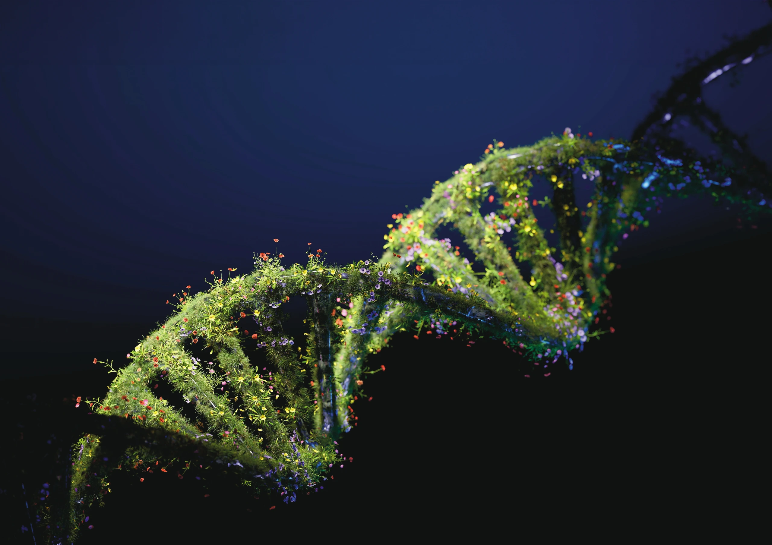 Longevity: Ein langes Leben ist nicht nur eine Frage der Gene