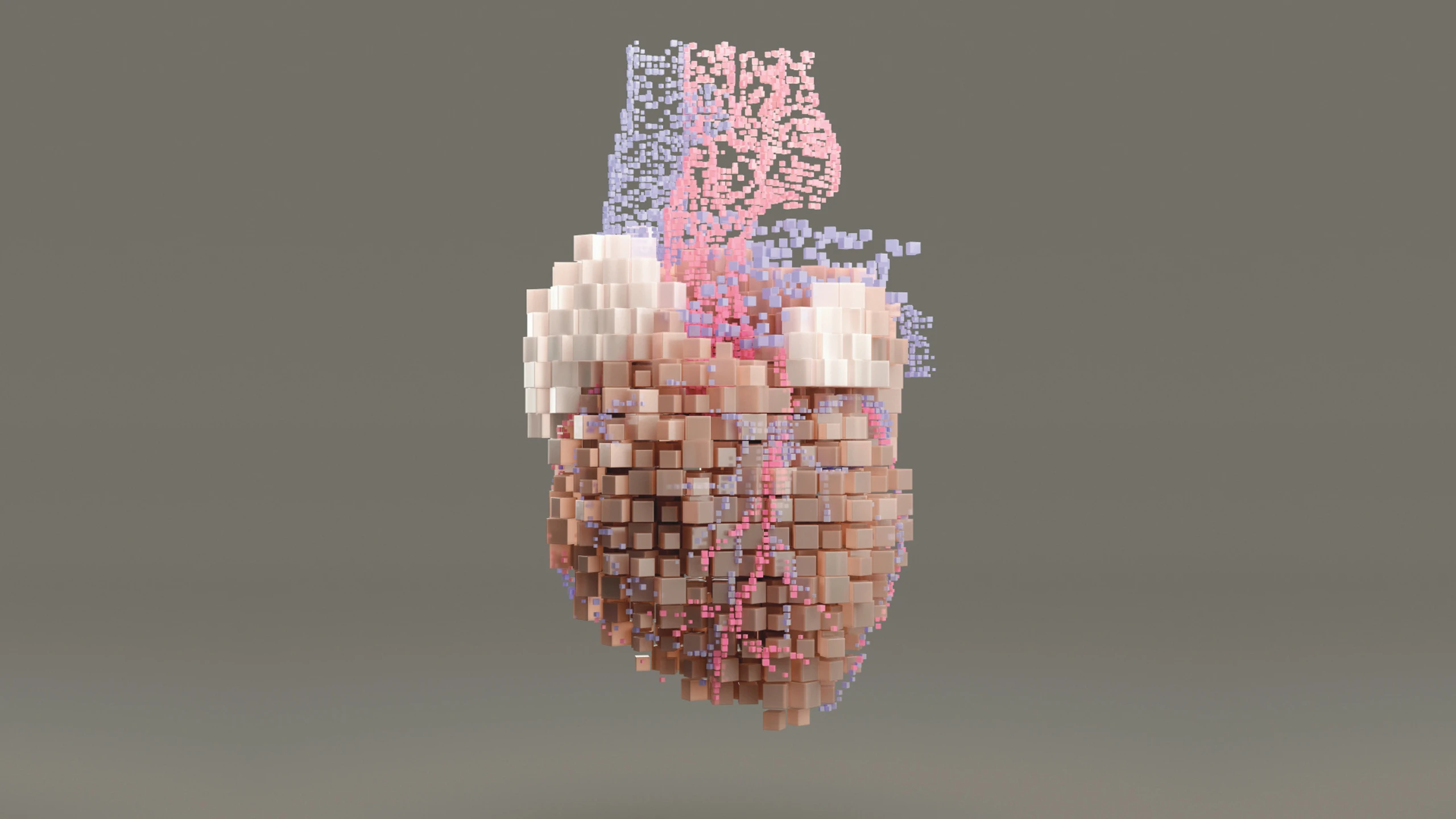 Herz, Darm, Nieren und Co.: Organe, das leise Sprachrohr unseres Körpers