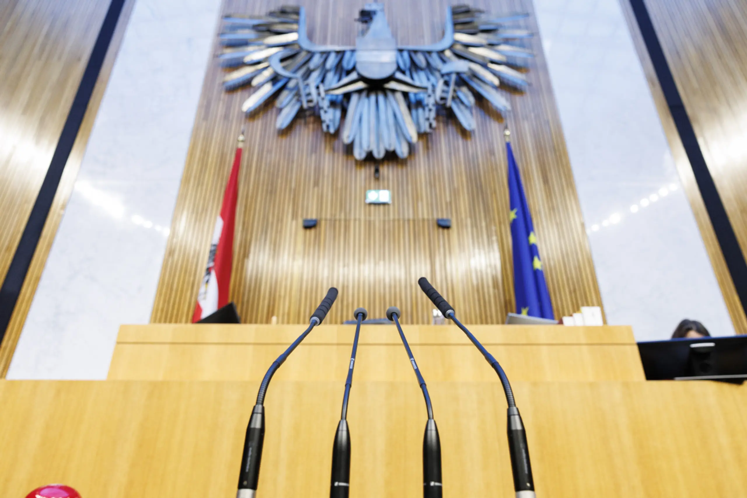 Grüne stimmten dagegen