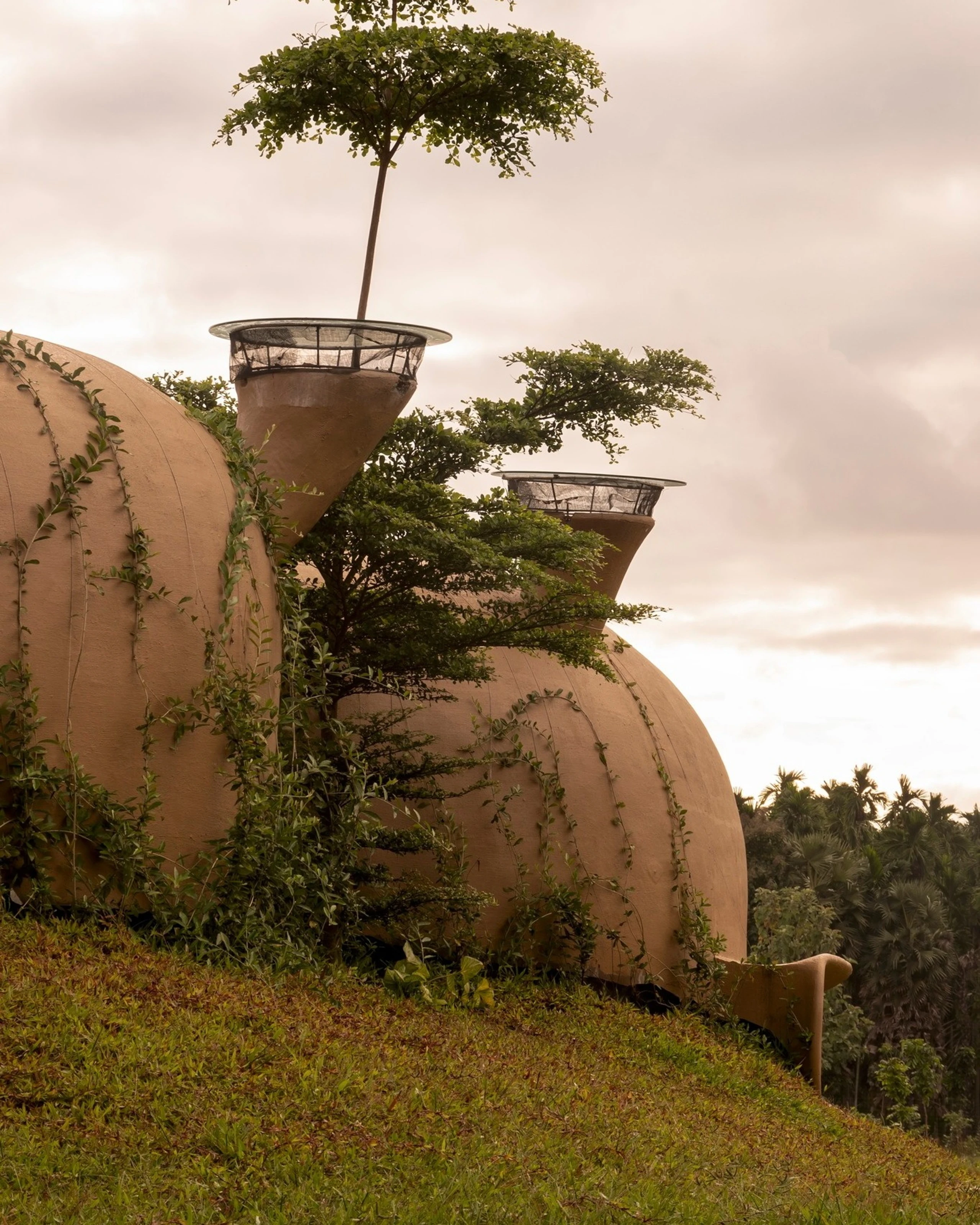Aussenansicht des indischen „Into the Wild House“