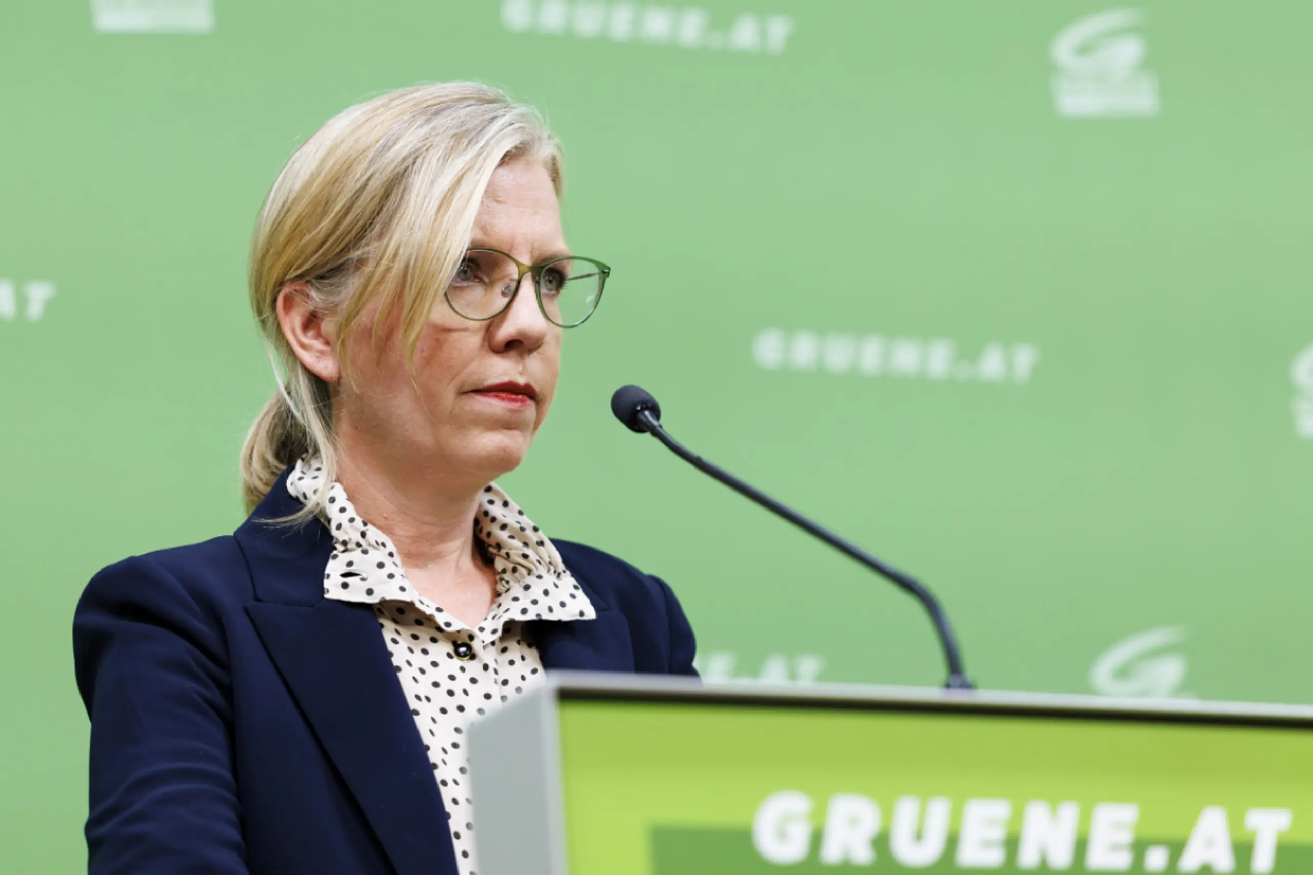 Grüne fordern von der Regierung Transparenz
