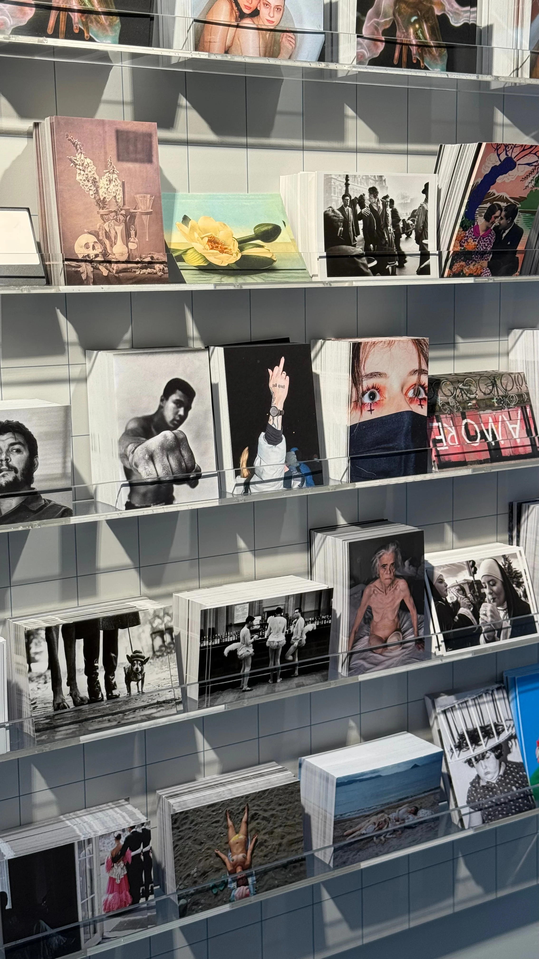 Regal mit einer Auswahl an Postkarten und Kunstwerken: Porträts, Stillleben, Abstraktes, Schwarzweiß- und Farbfotografie.