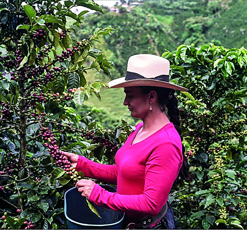 Blurred image background