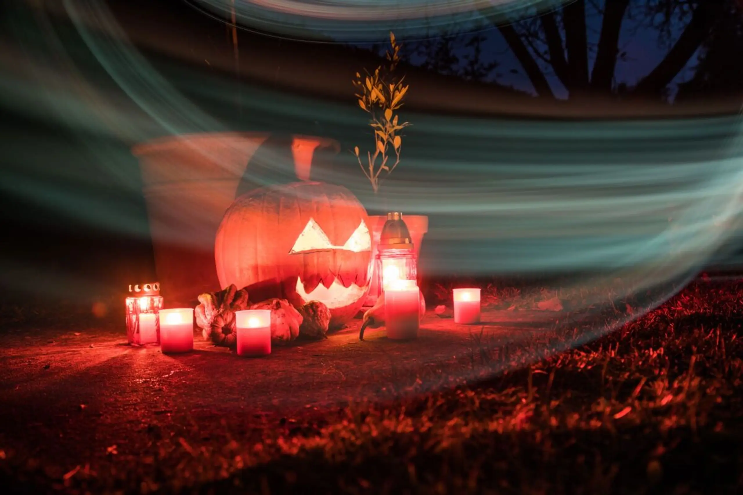 Beim Aushöhlen und Schnitzen des Kürbis gibt es einiges zu beachten