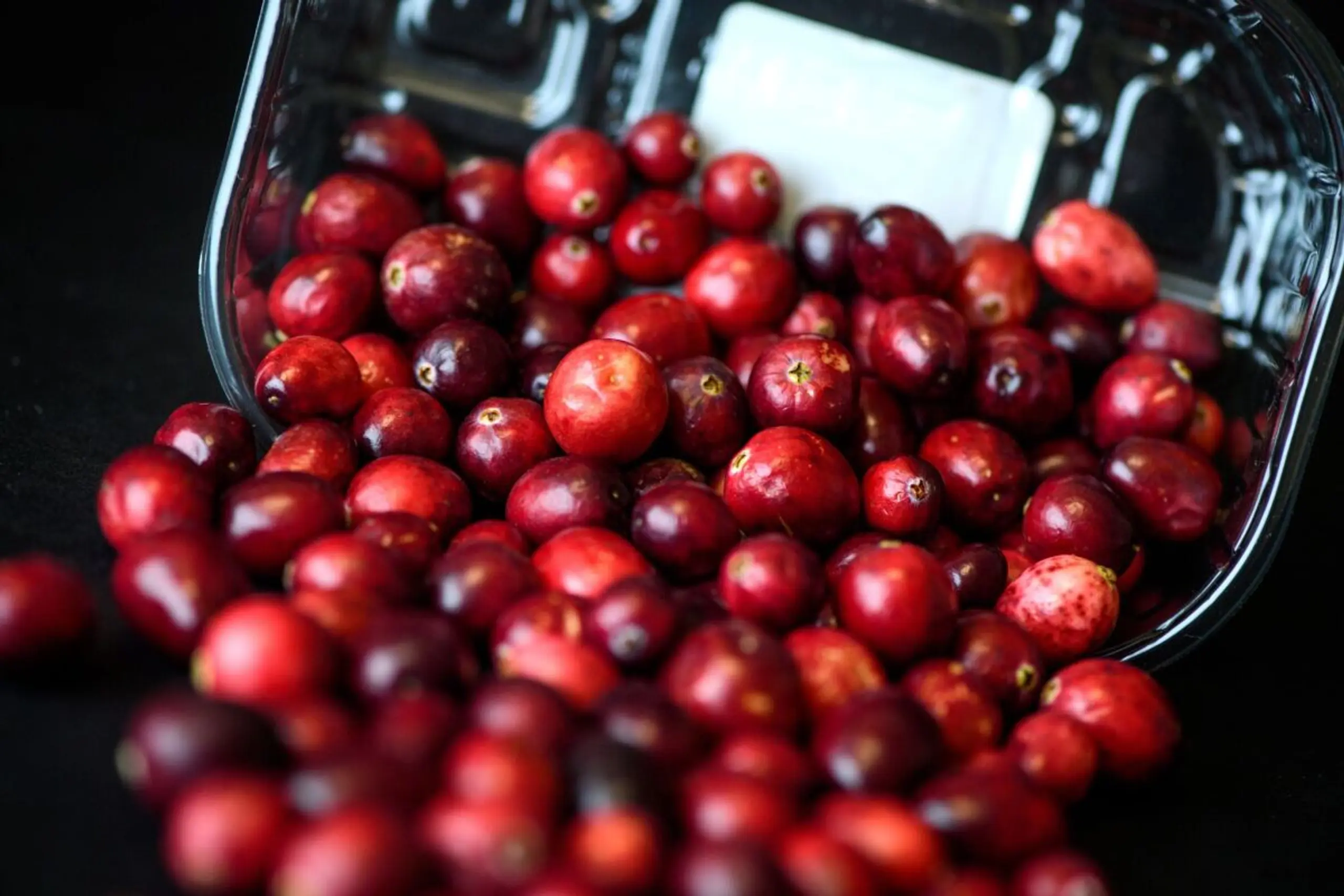 Kugelrund und leuchtend rot: Cranberrys haben aktuell Saison