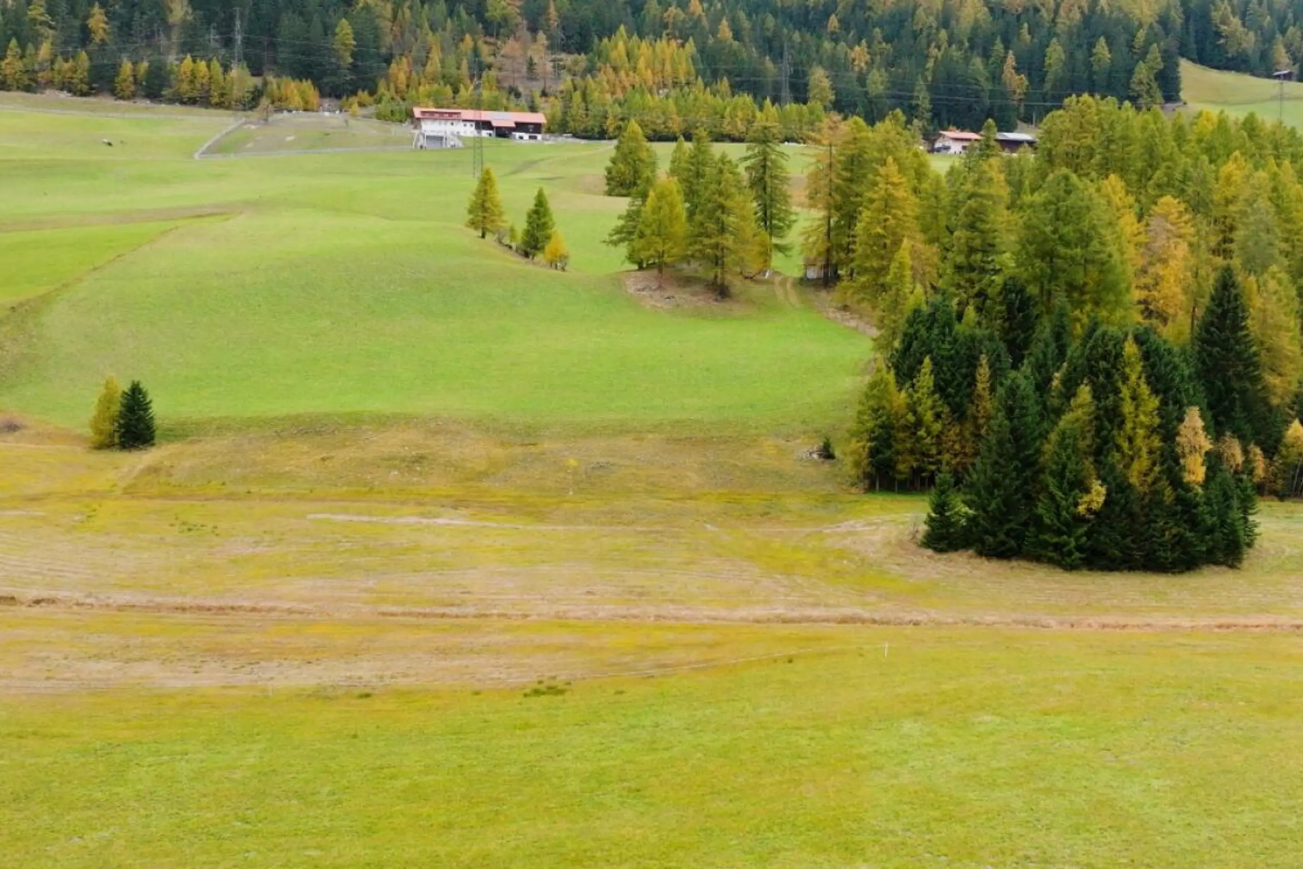 Niedermoor in Nösslach wiederhergestellt