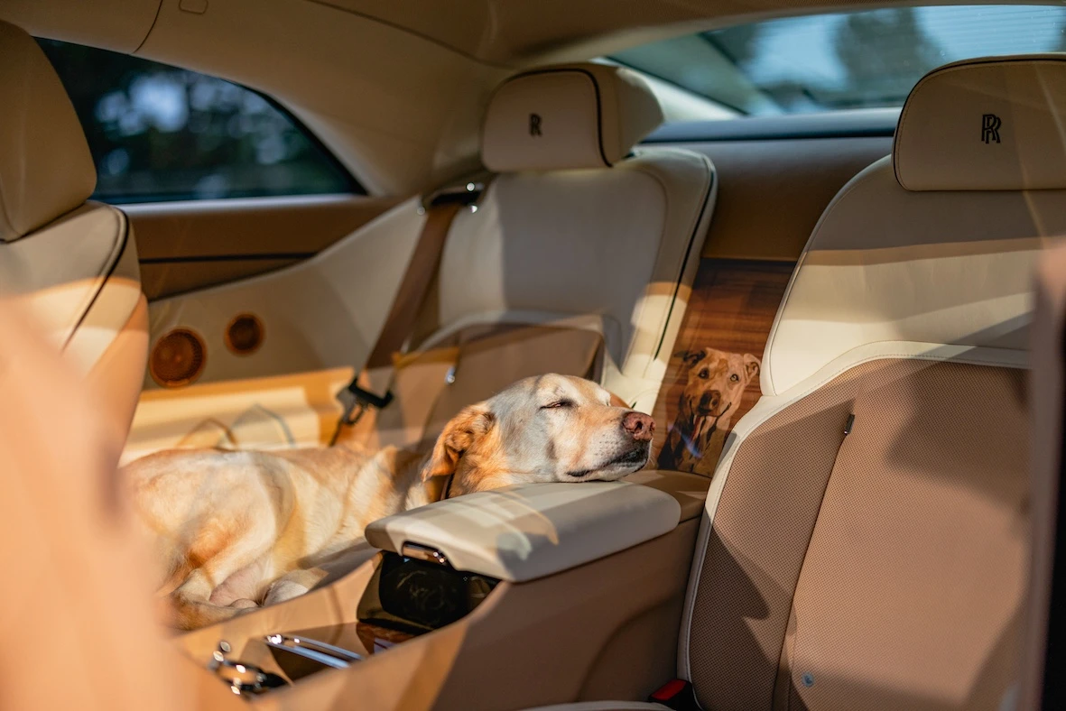 Rolls-Royce Spectre: Auf den Hund gekommen