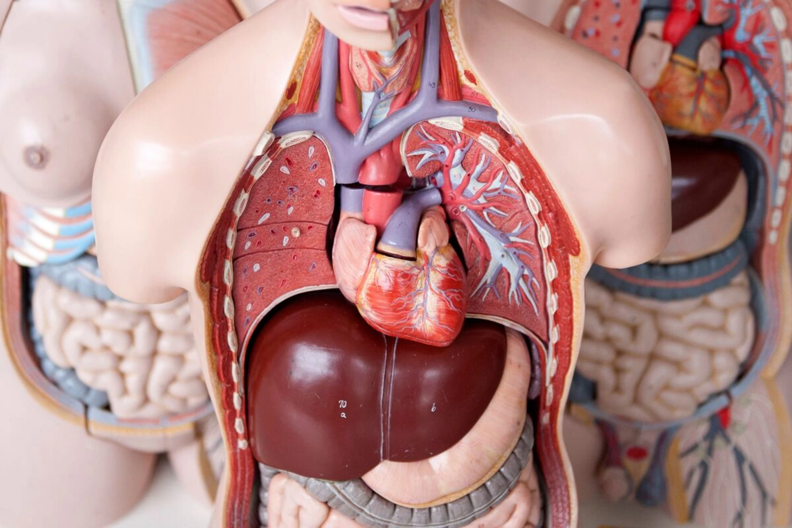 Ein Herzinfarkt kann sich über längere Zeit ankündigen