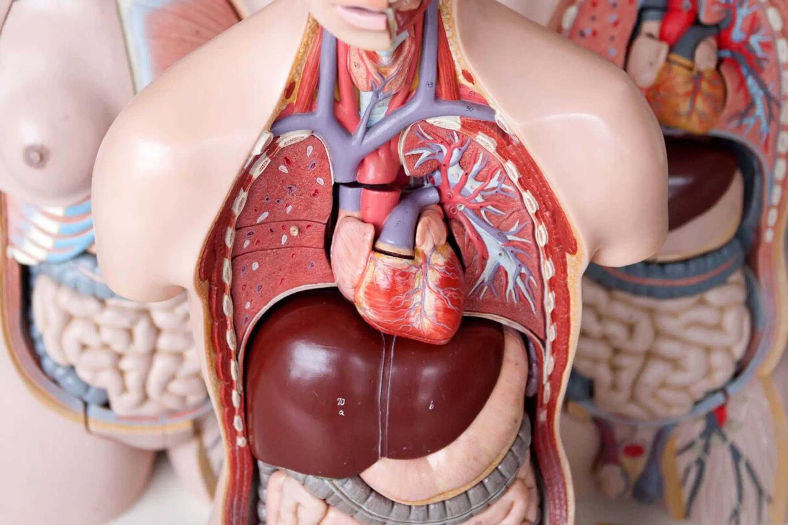 Ein Herzinfarkt kann sich über längere Zeit ankündigen