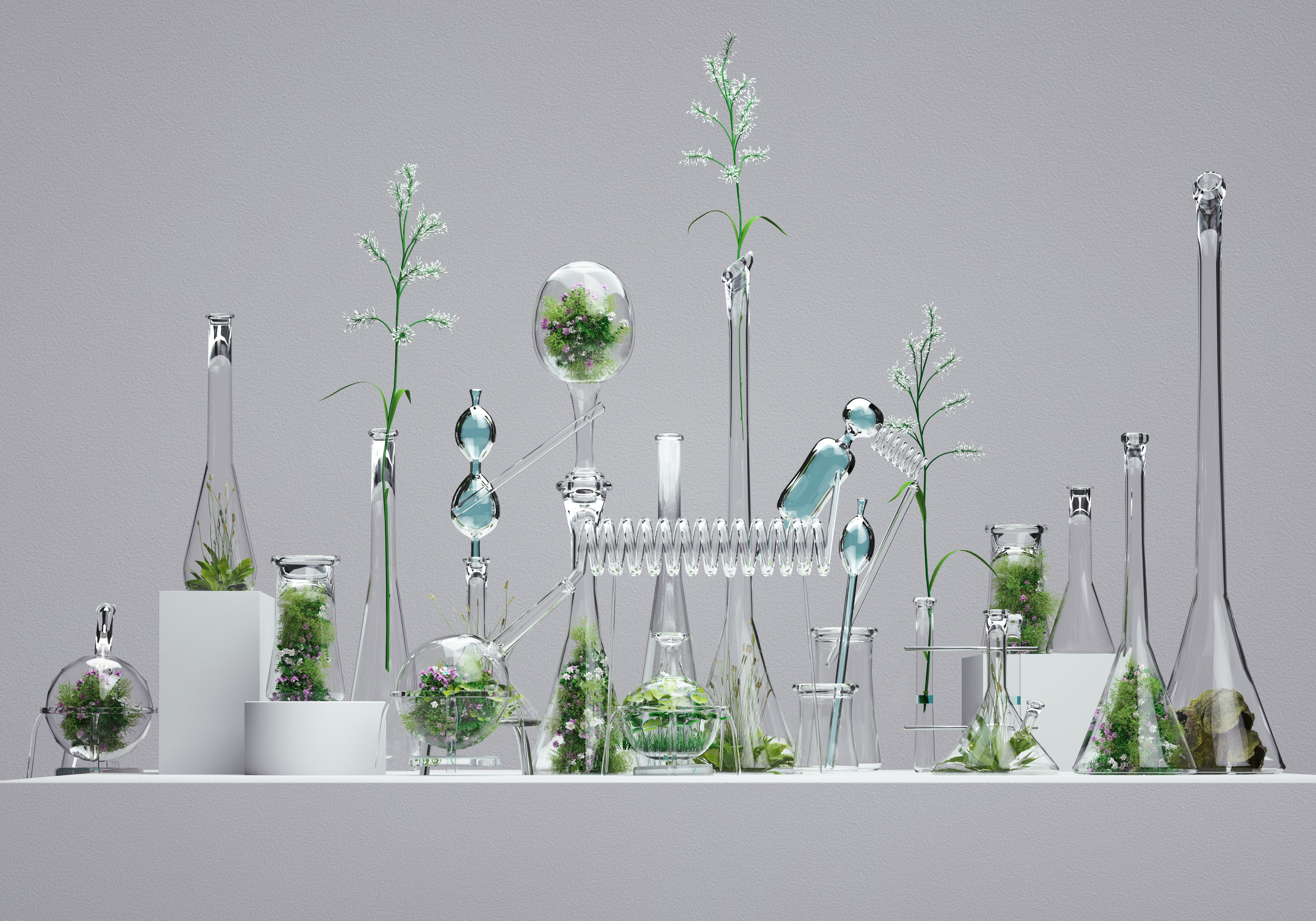 Gläser mit Pflanzen