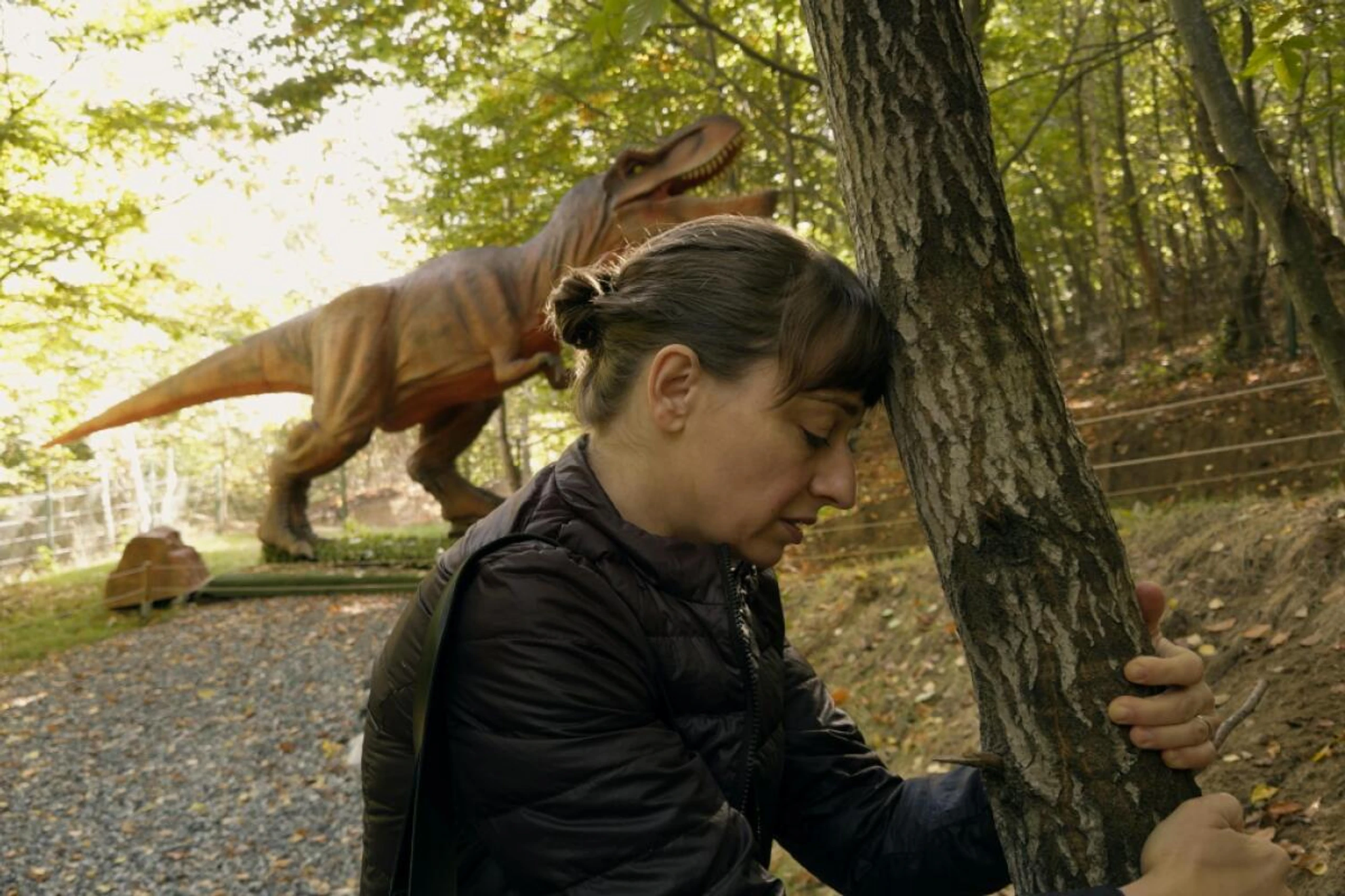 Rumänische Tragikomödie vs. Jurassic Park