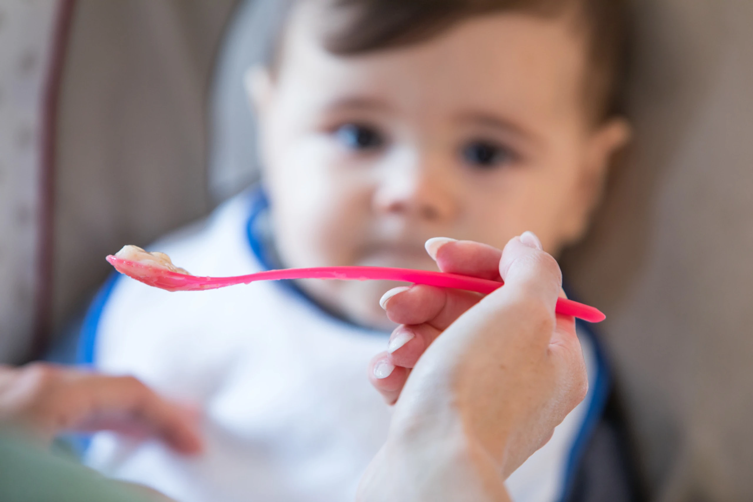 Die Fälle mit Erdnuss-Allergien gingen mit früher Beikost zurück
