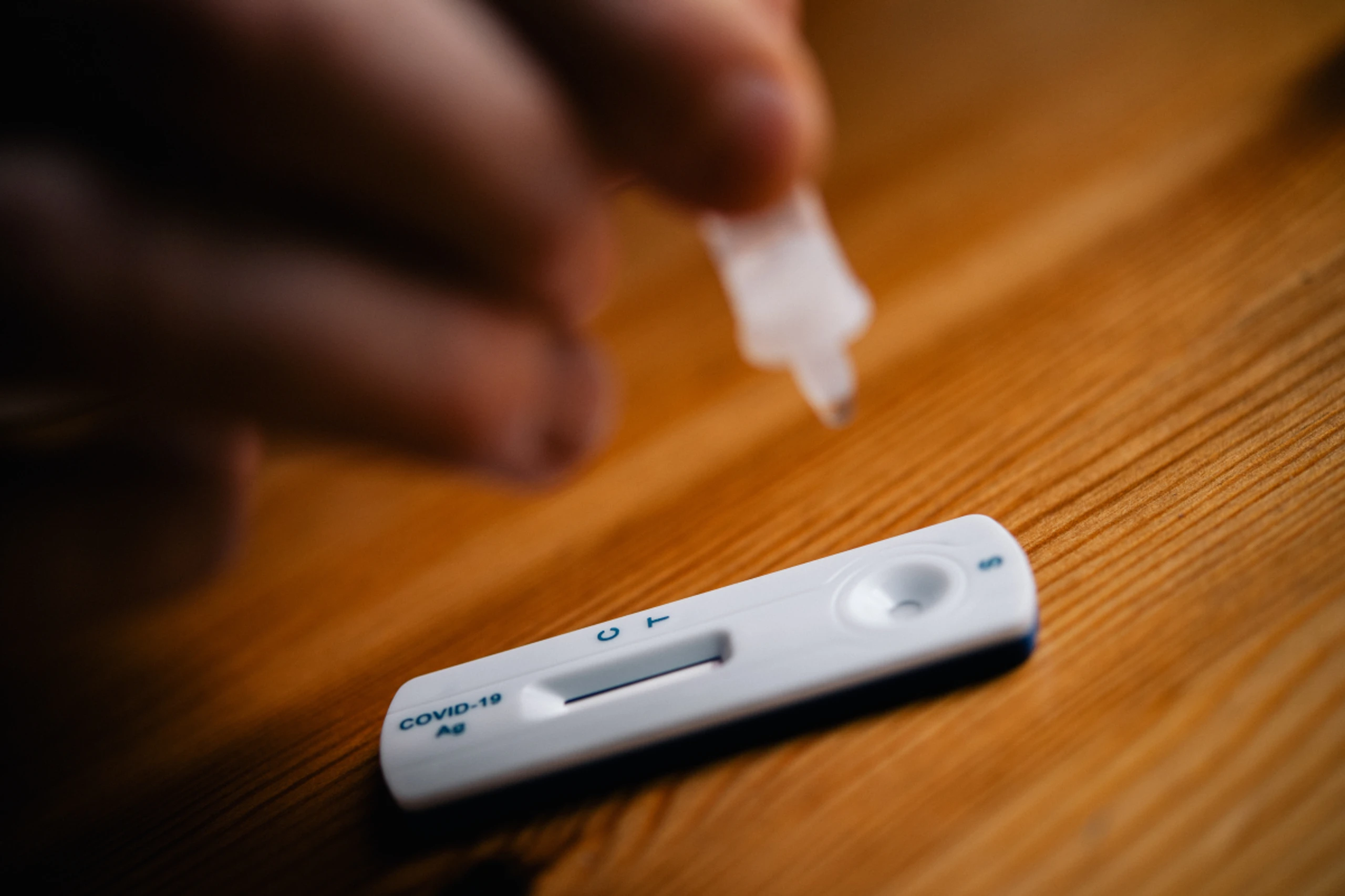 In Großstädten wie Wien, können sich Krankheiten schnell verbreiten