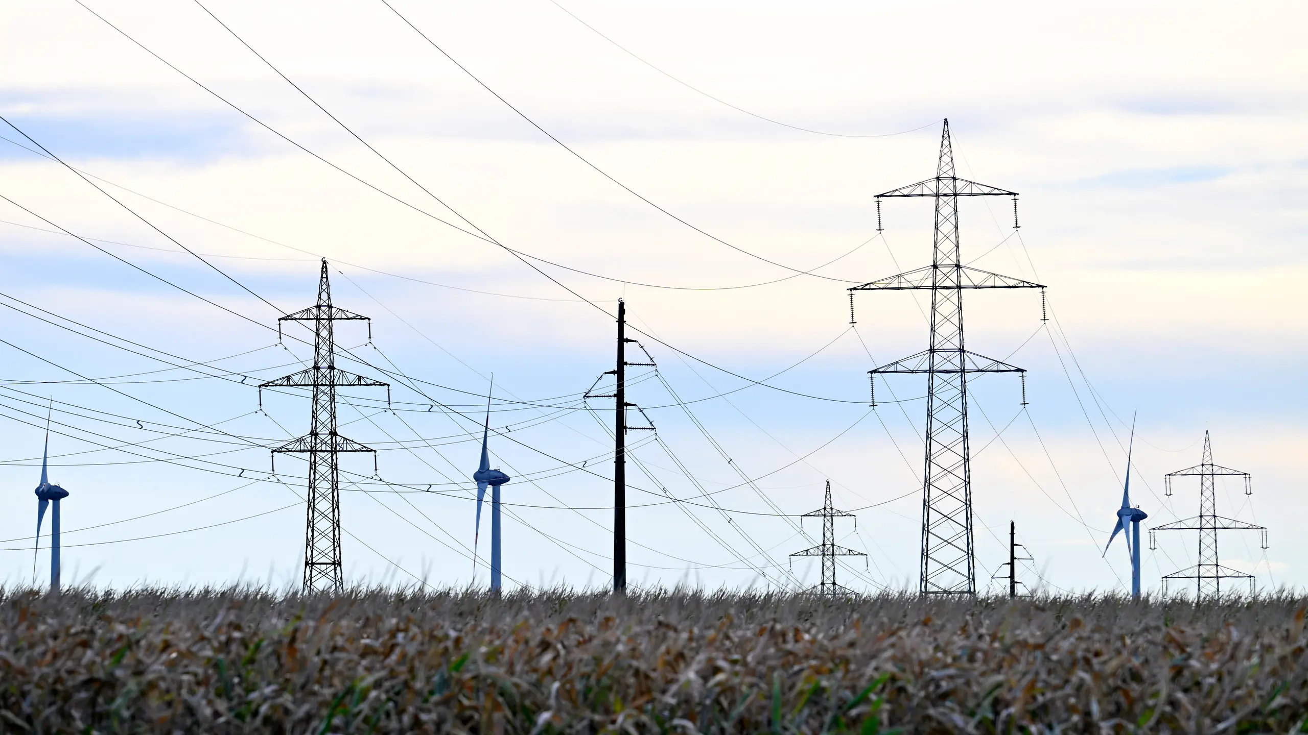 © APA/HANS KLAUS TECHT Stromnetze und Windturbinen