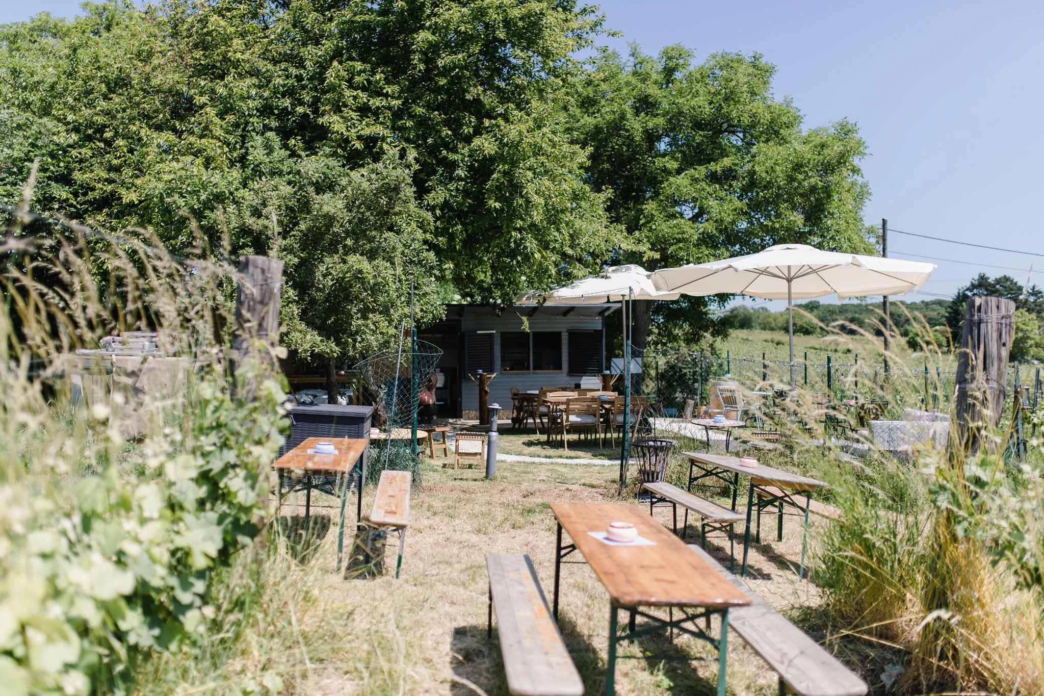 Gartenansicht mit Holztischen, Bänken und schattigem Pavillon, ideal für Essen im Freien oder Versammlungen.