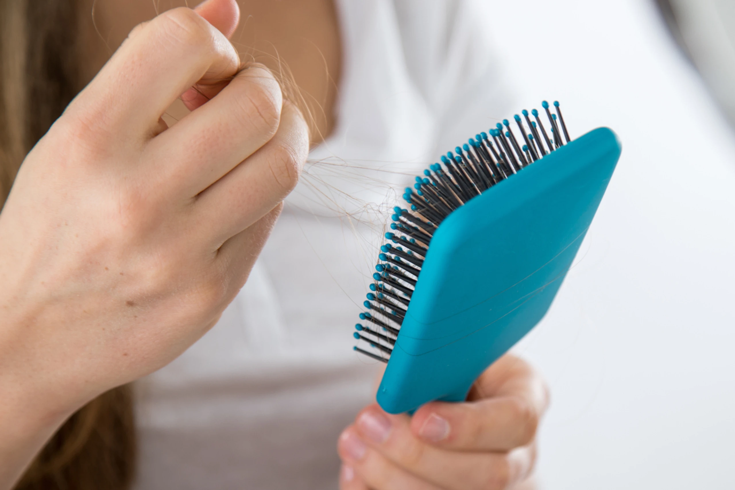 Im Sommer dient unser Haar als Lichtschutz, im Winter als Kälteschutz