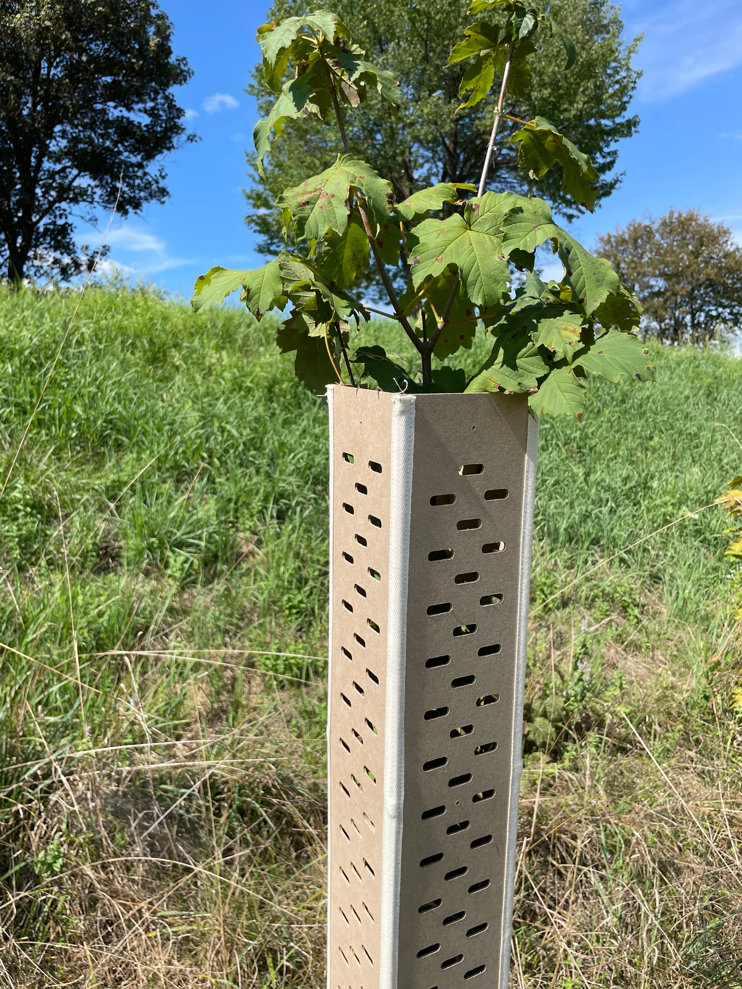 Blurred image background