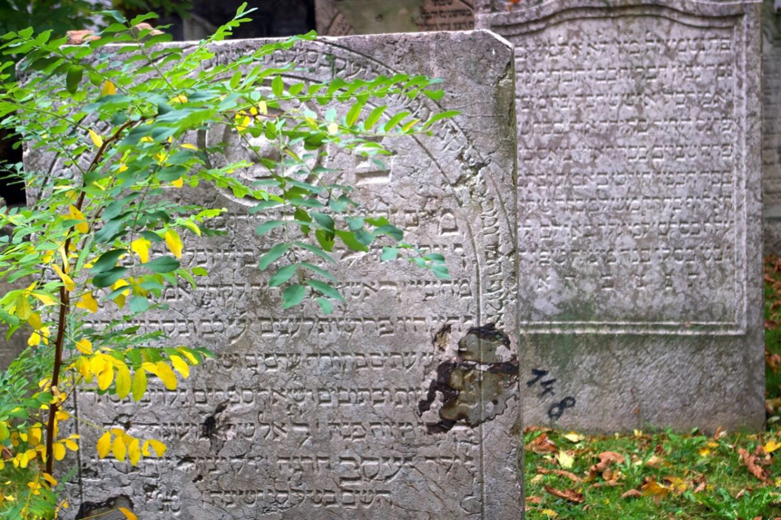 Der Nationalfonds ist auch für jüdische Friedhöfe zuständig