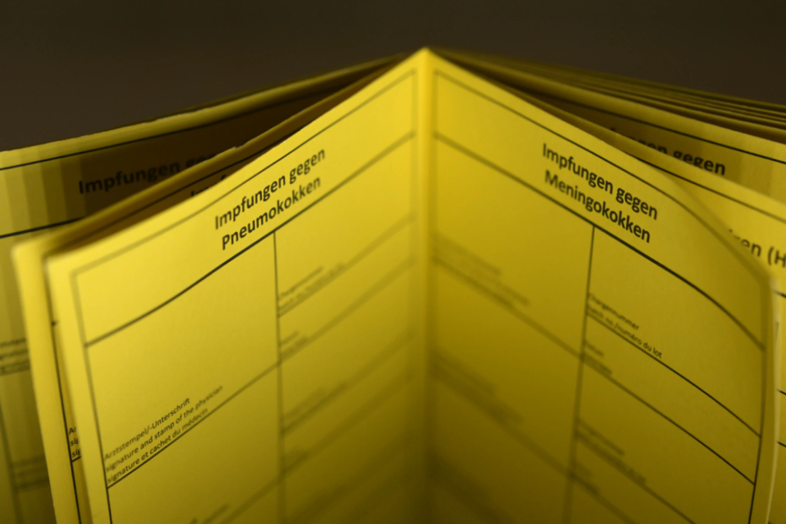 Insgesamt 95.000 Dosen Nachschub