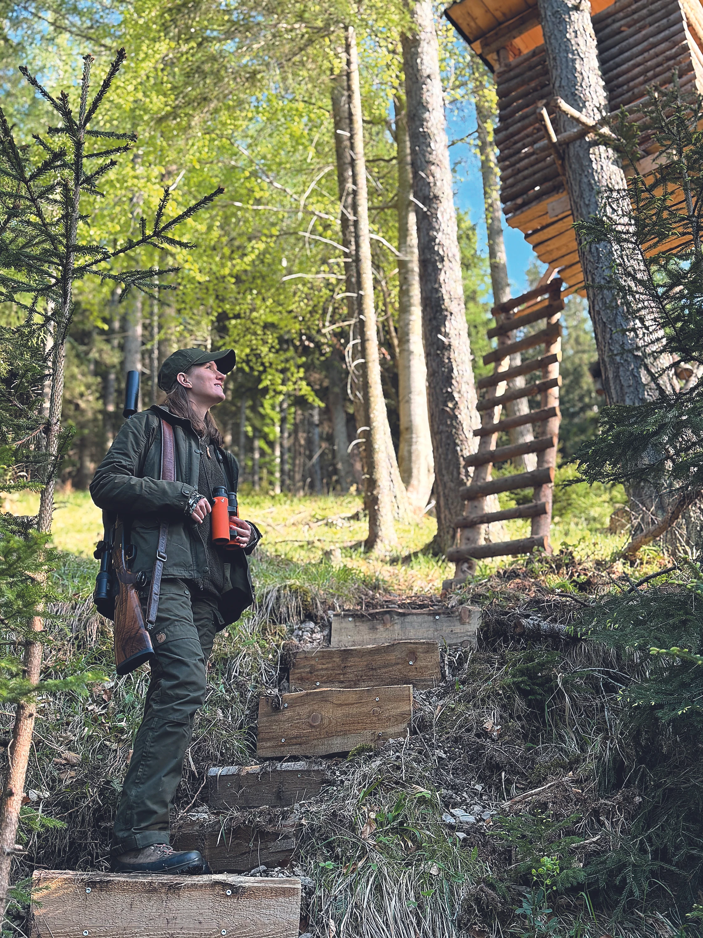 Blurred image background