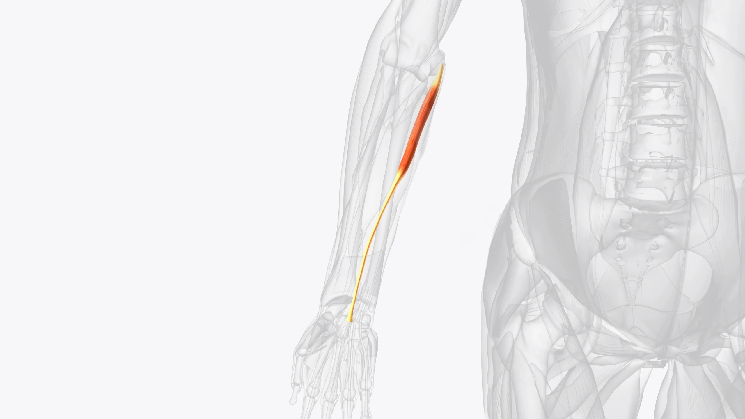 © shutterstock Blurred image background