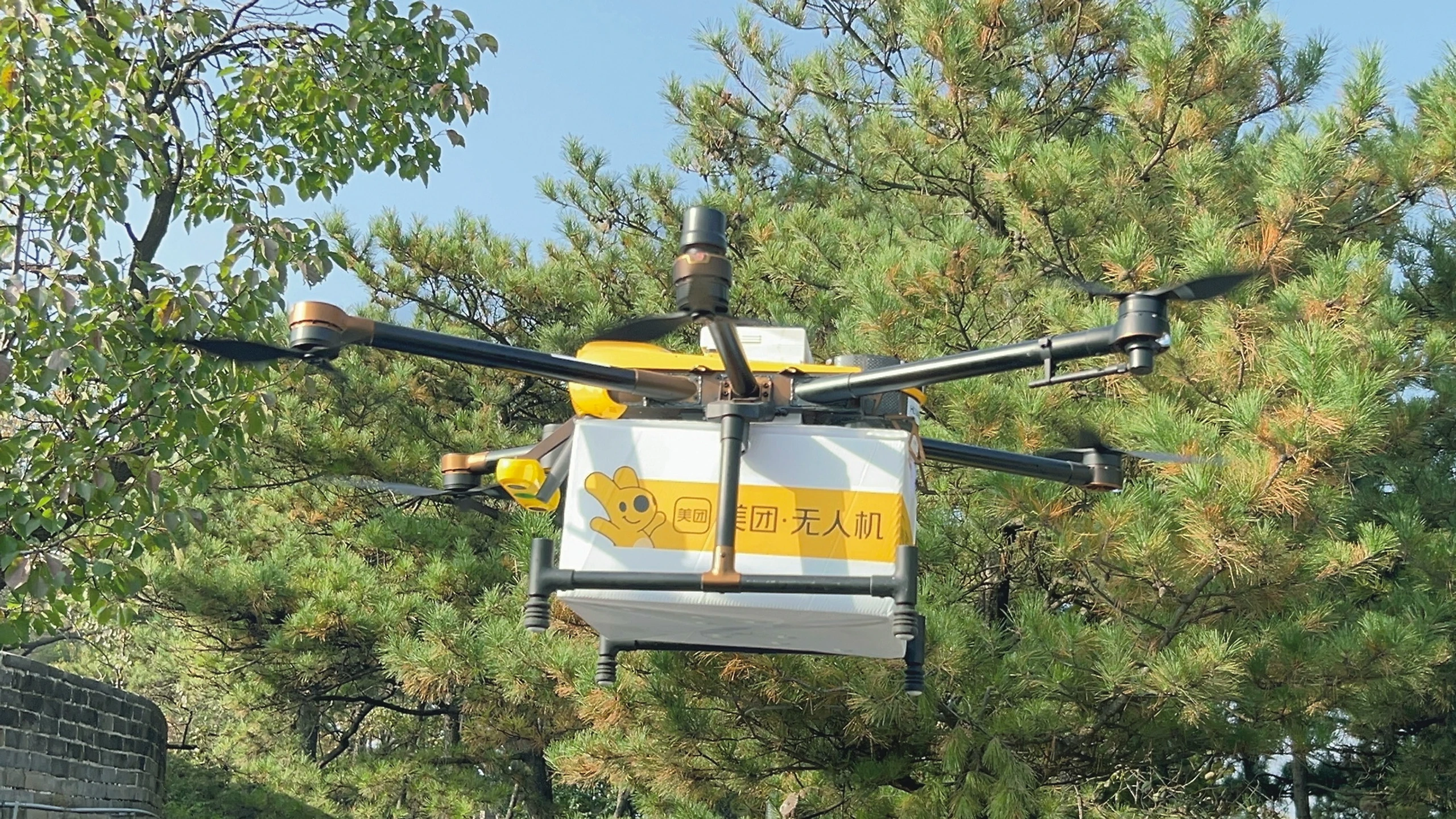 Blurred image background