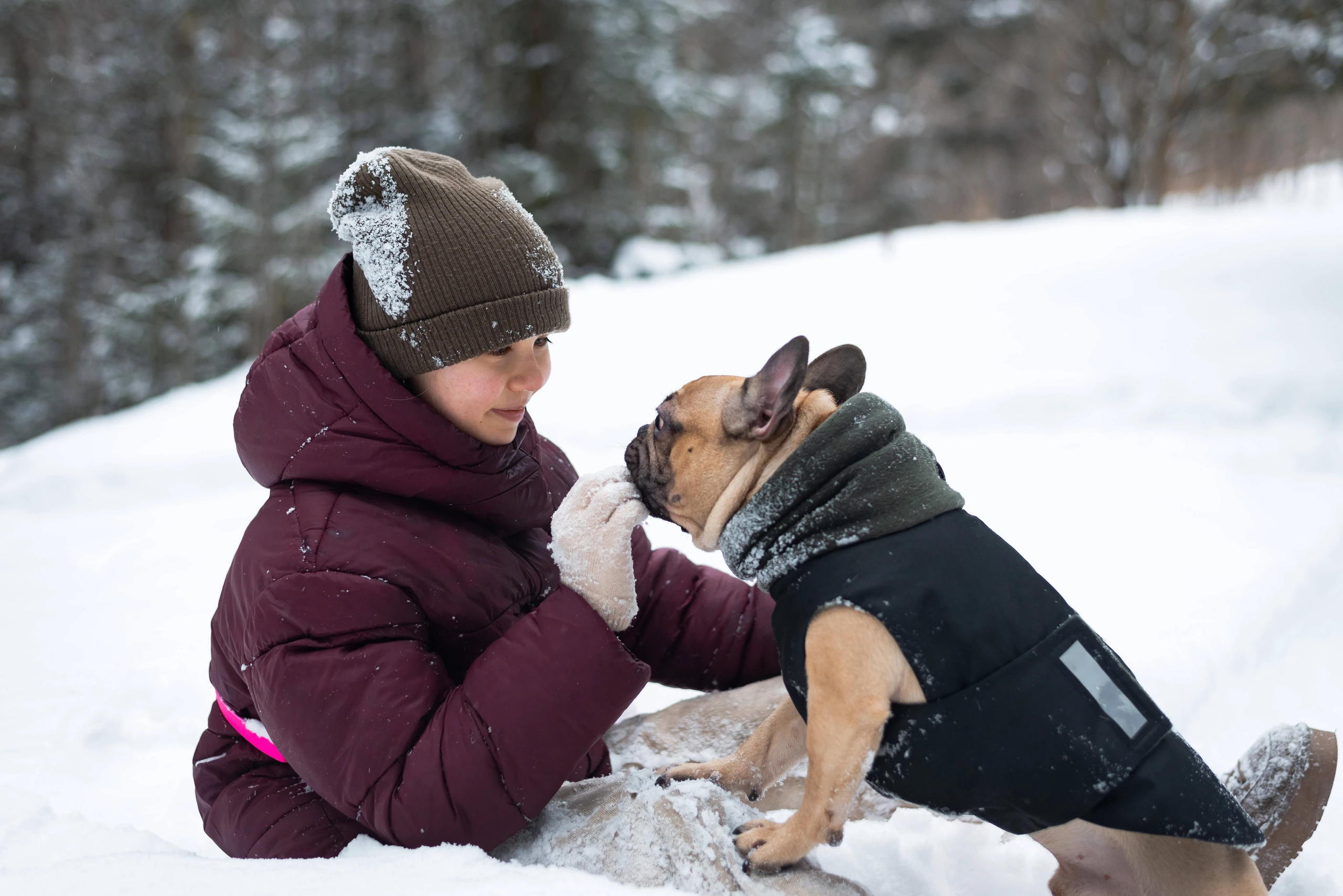 Hundemantel: Wann dein Hund im Winter wirklich Schutz braucht