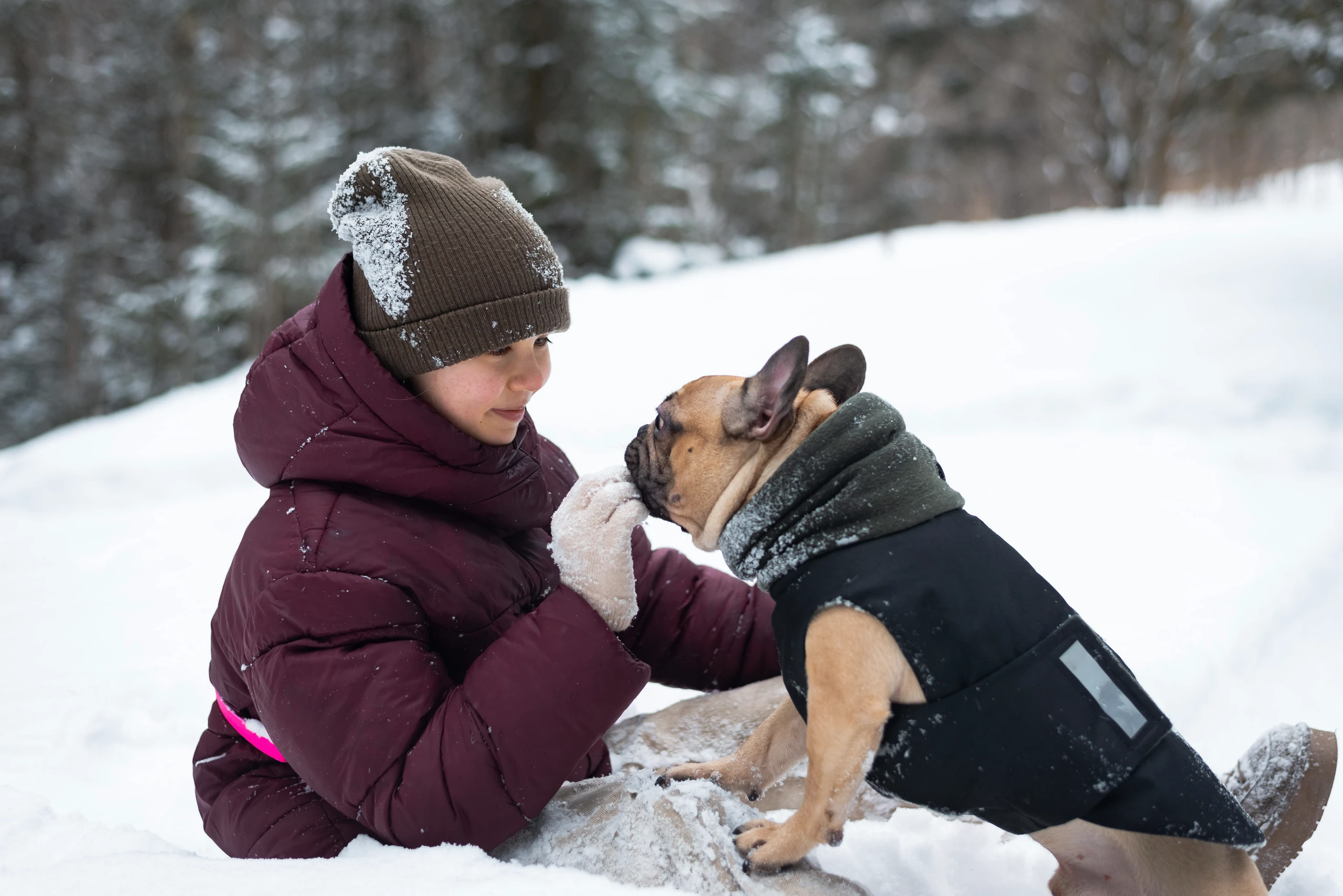 Hundemantel: Wann dein Hund im Winter wirklich Schutz braucht