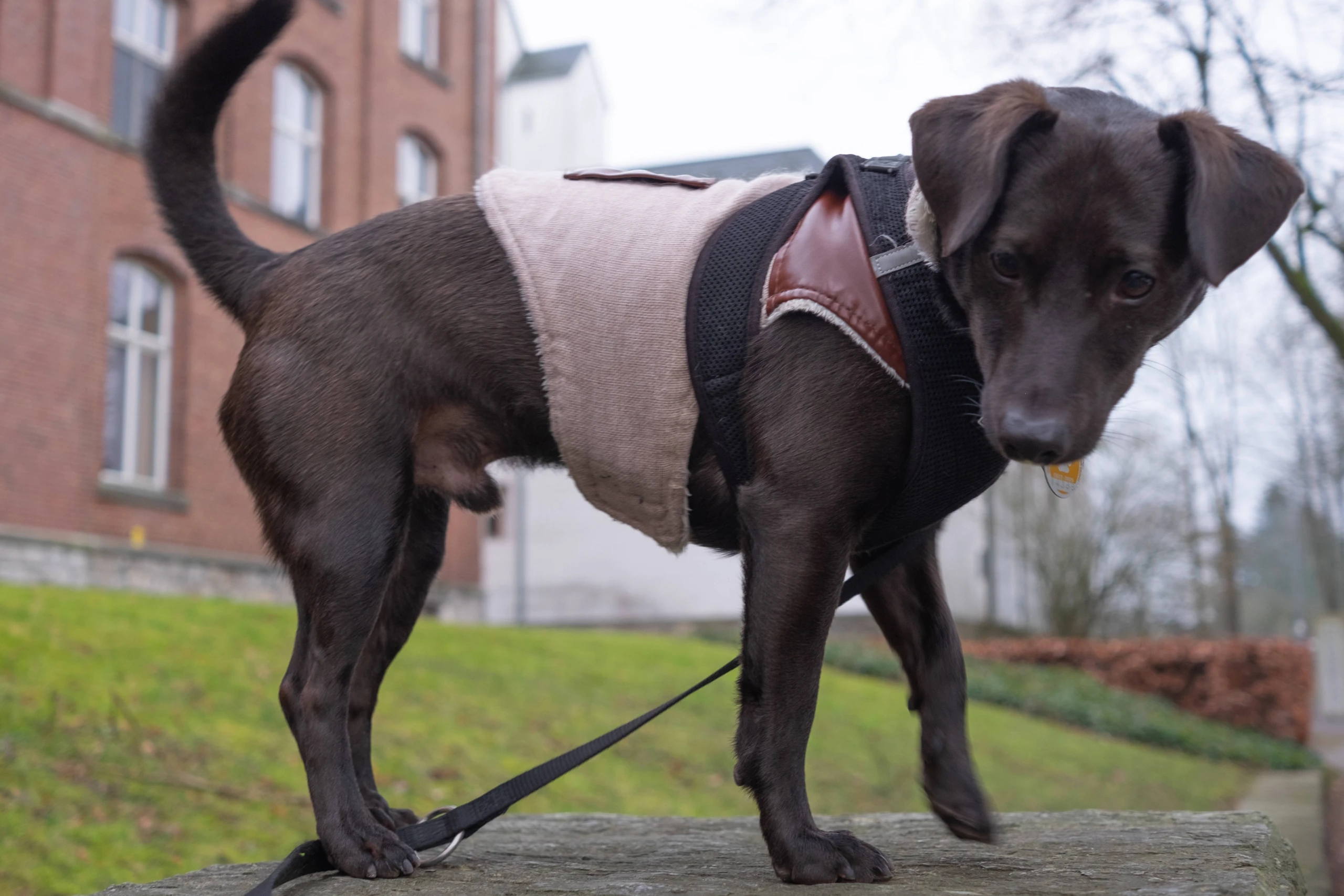 © IMAGO / Wassilis Aswestopoulos Blurred image background