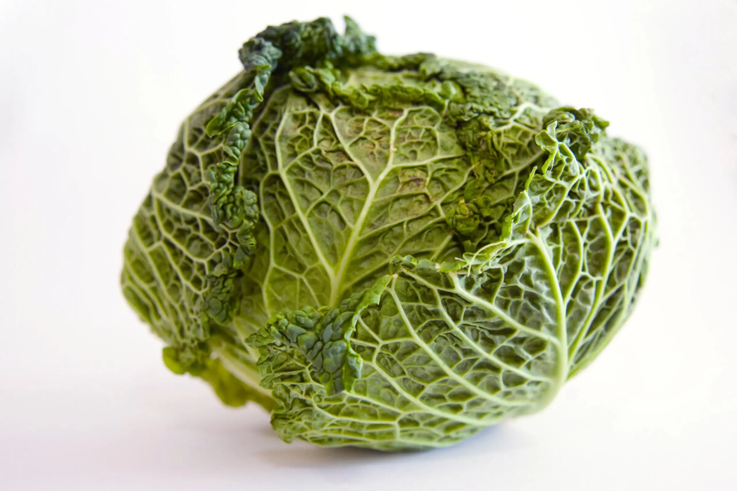 Frischen Wirsing erkennt man daran, dass er beim Schütteln rasselt