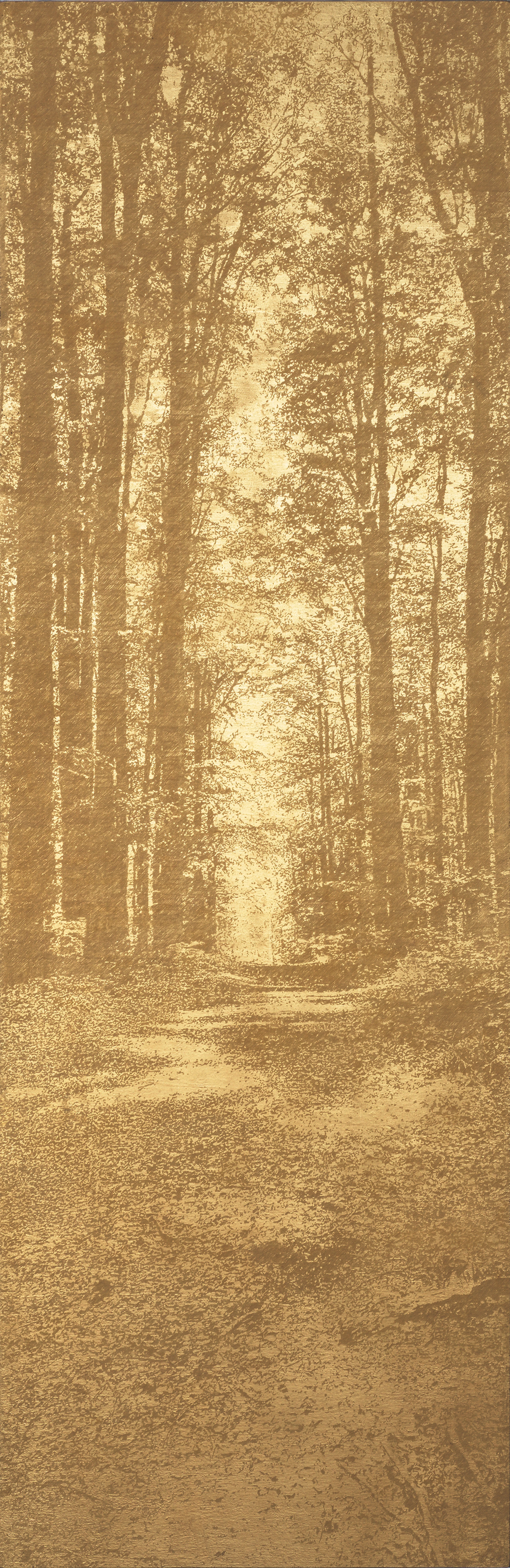 Blurred image background