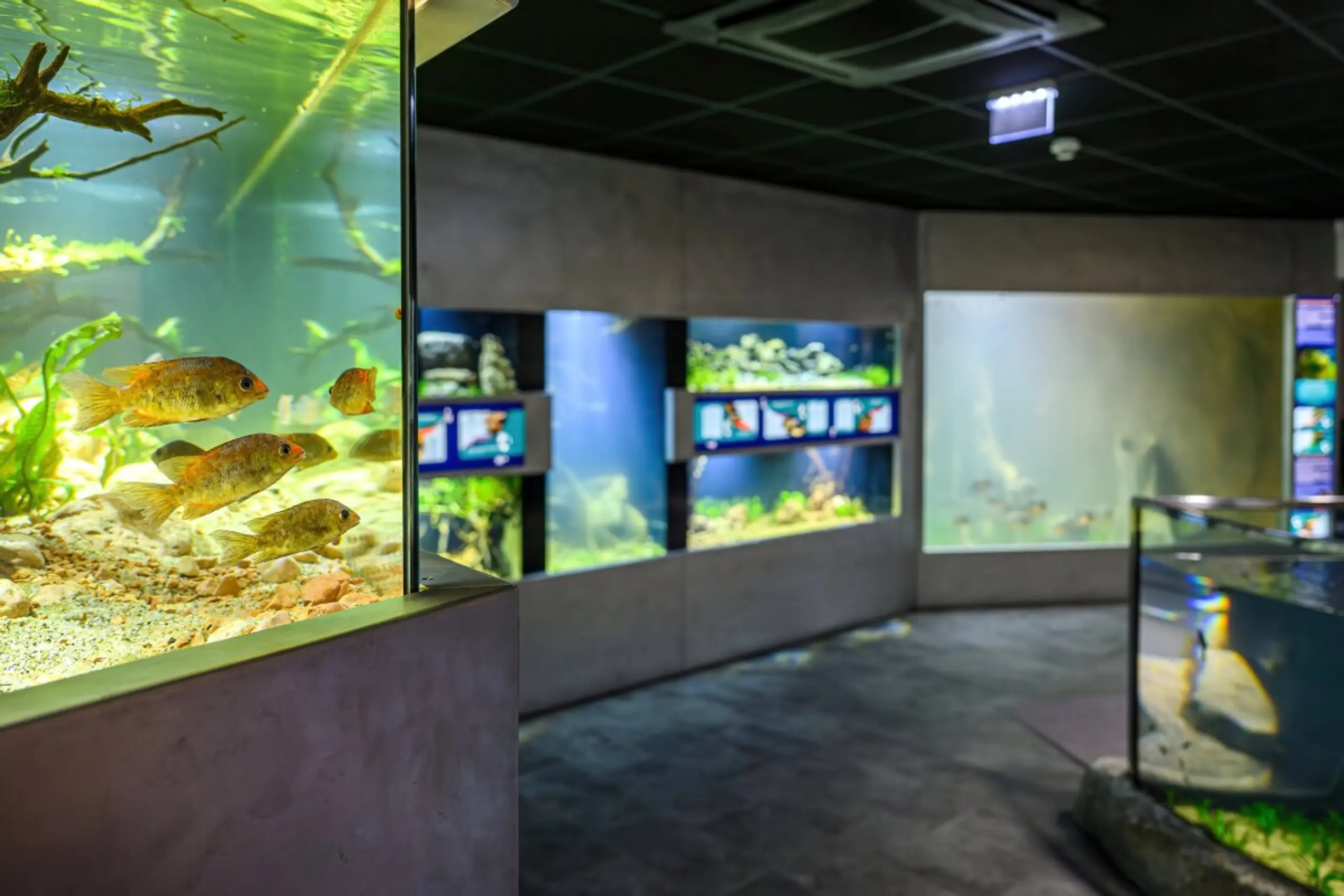 Jedes Becken erzählt eine eigene Geschichte