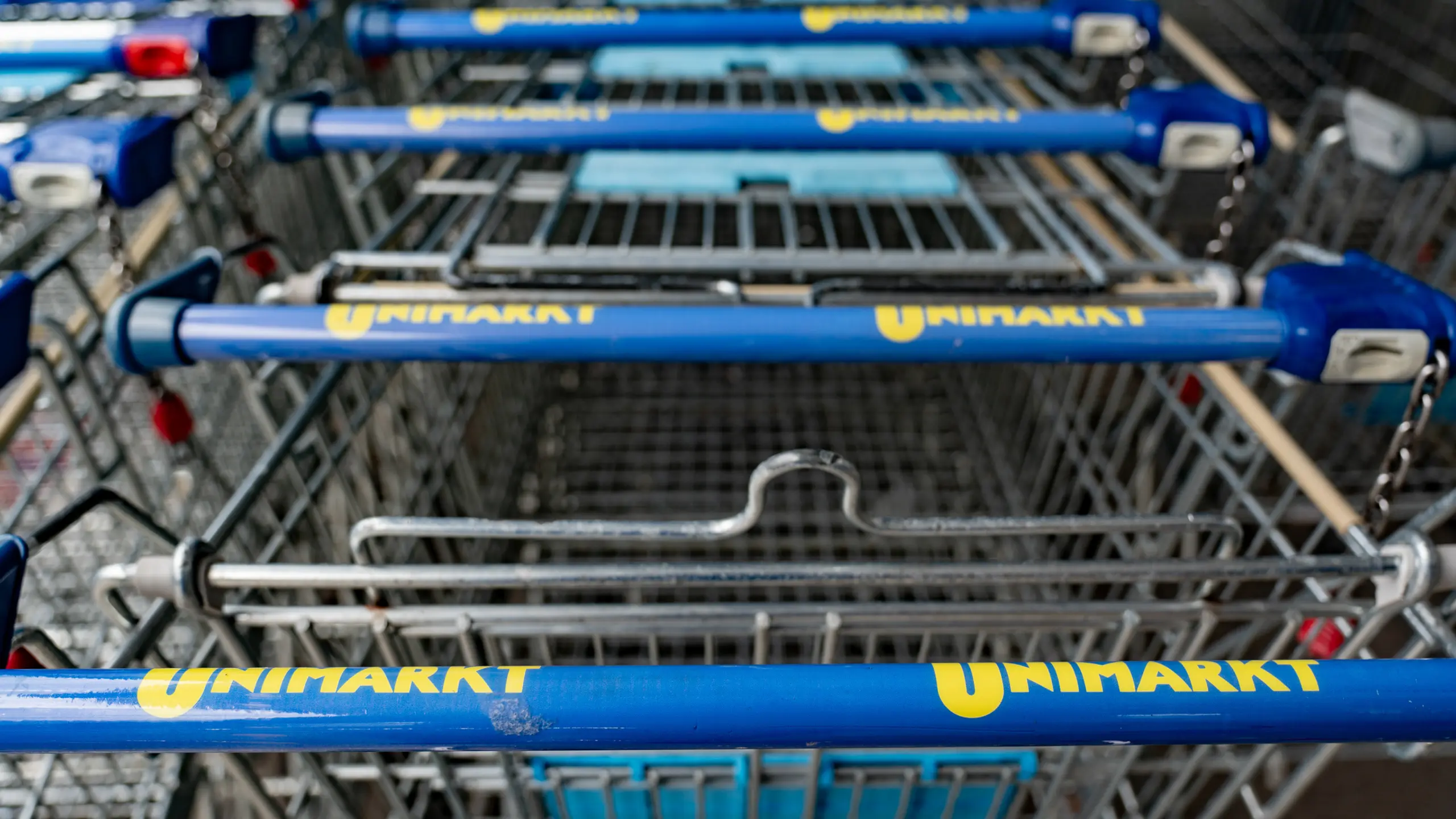 © APA/TEAM FOTOKERSCHI/MARKUS HAUSER Artikelbild