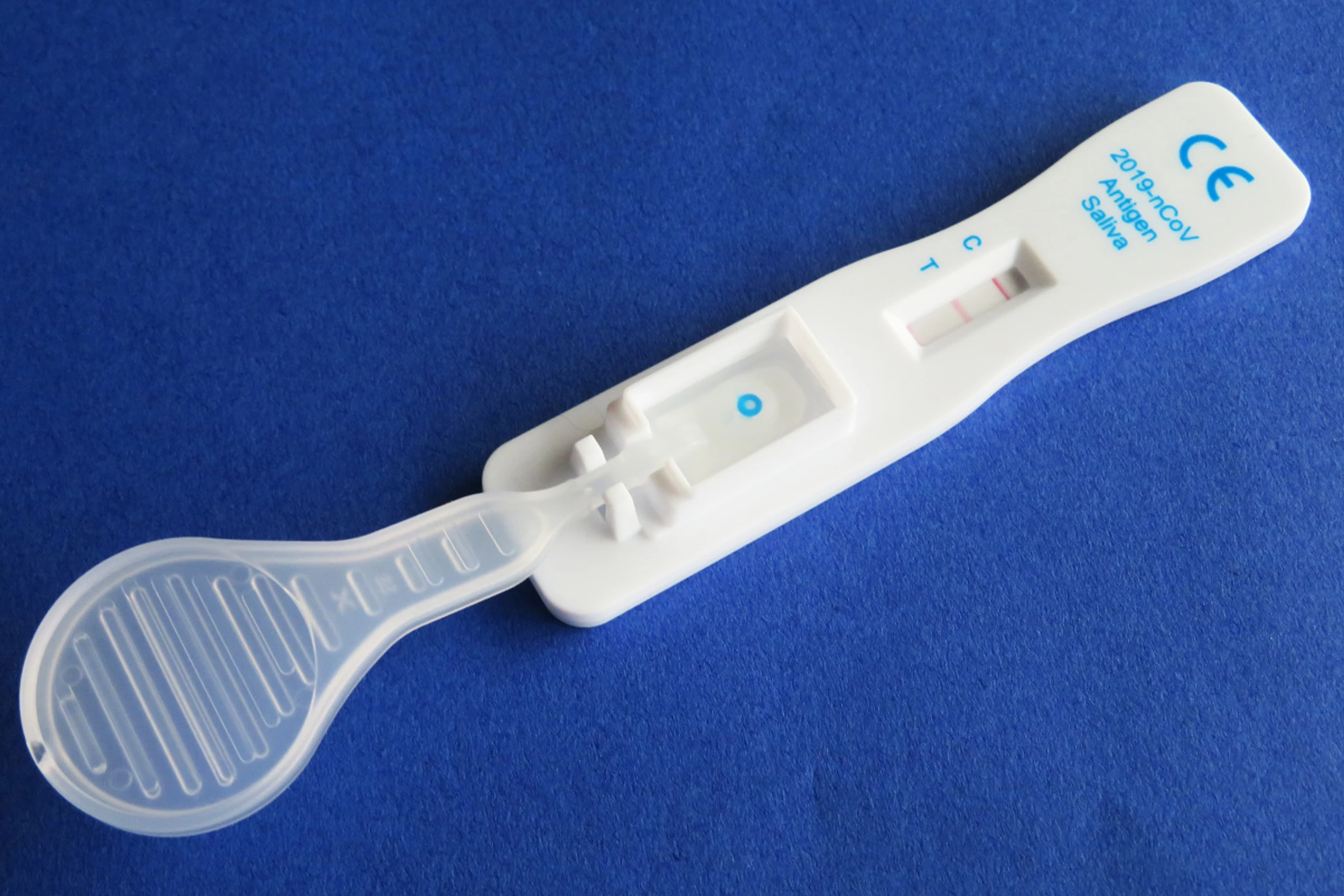 Im Verdachtsfall Test und eventuell schnelle Behandlung angeraten