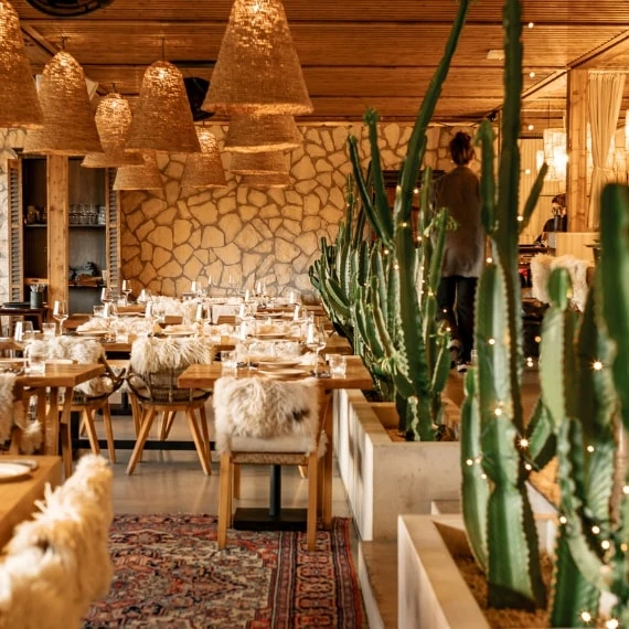 Restaurant-Interieur mit Tischen, Kakteen und gewebten Lampenschirmen.