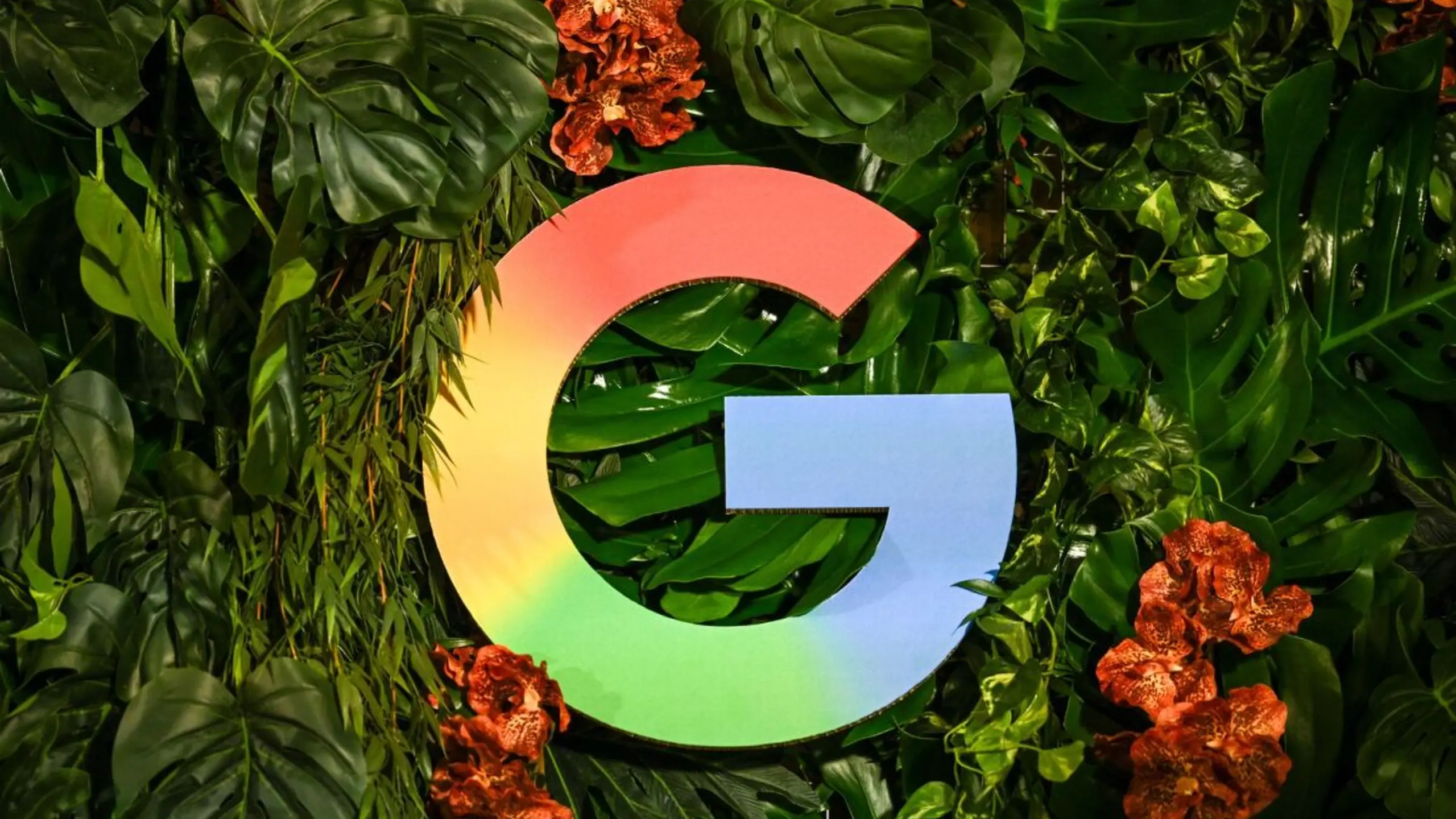 Google-Logo weihnachtlich inszeniert