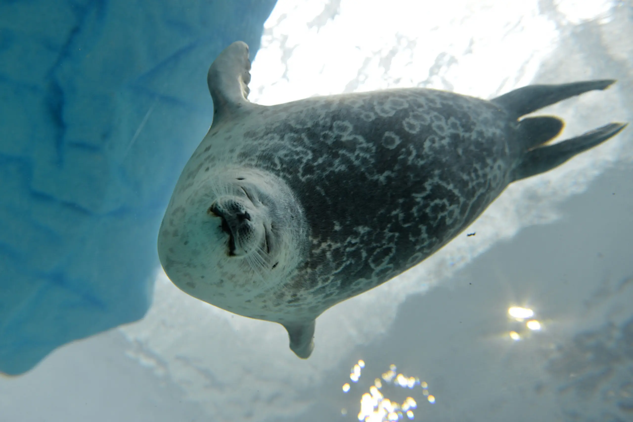 Im Zentrum der Studie standen sogenannte Milcholigosaccharide