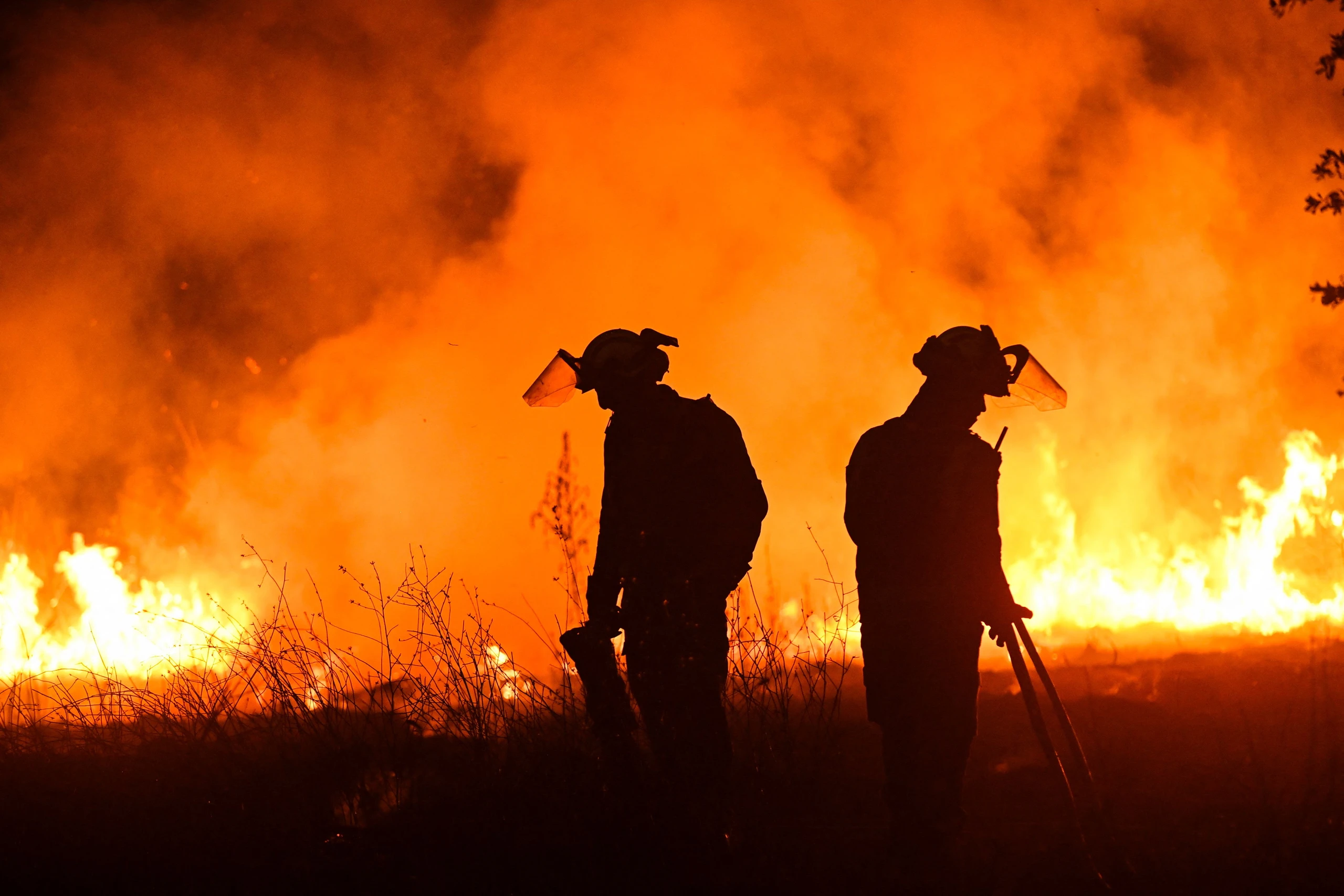 Blurred image background