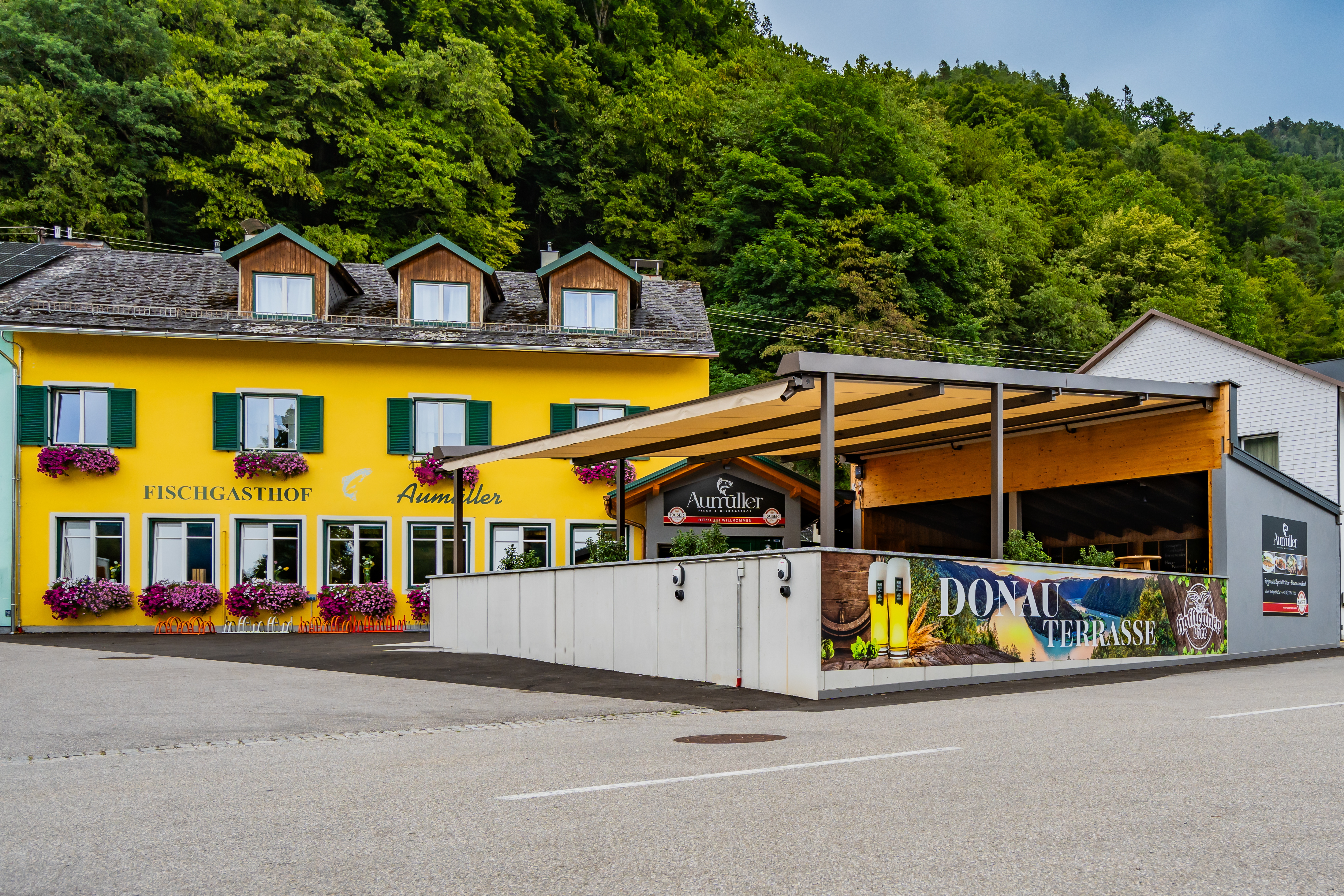 Blurred image background