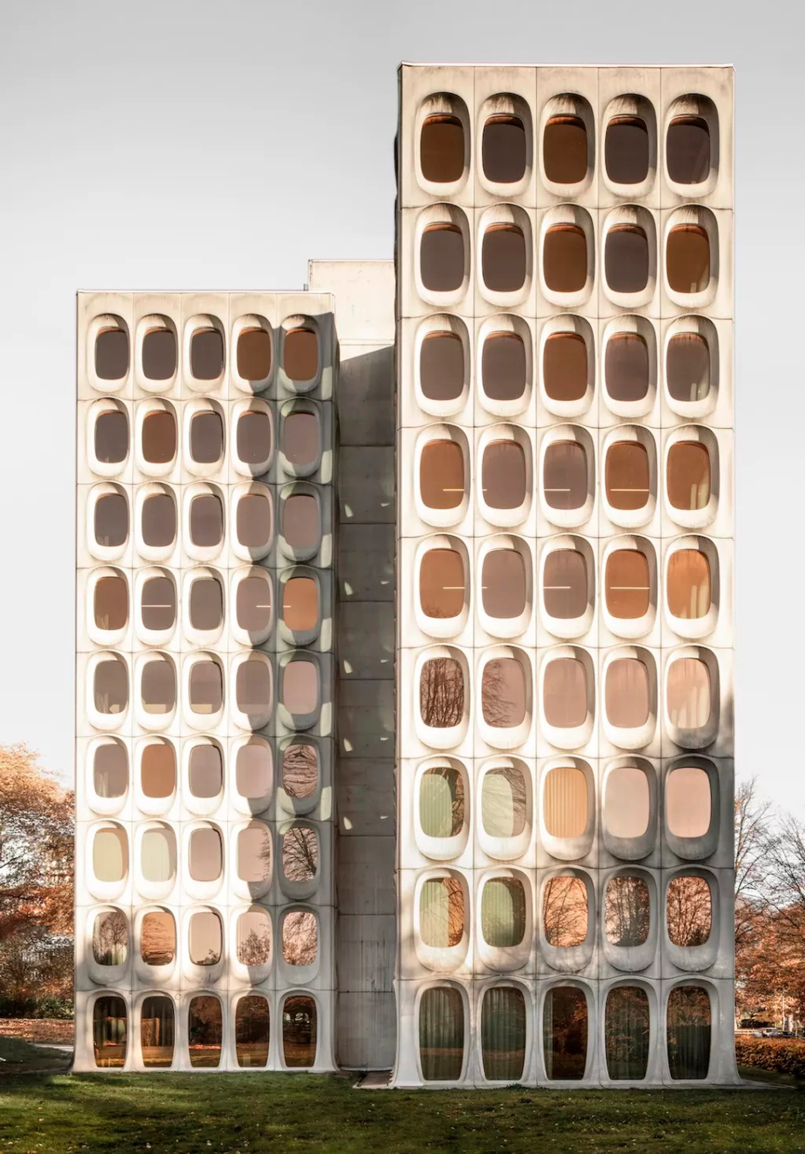 Blurred image background