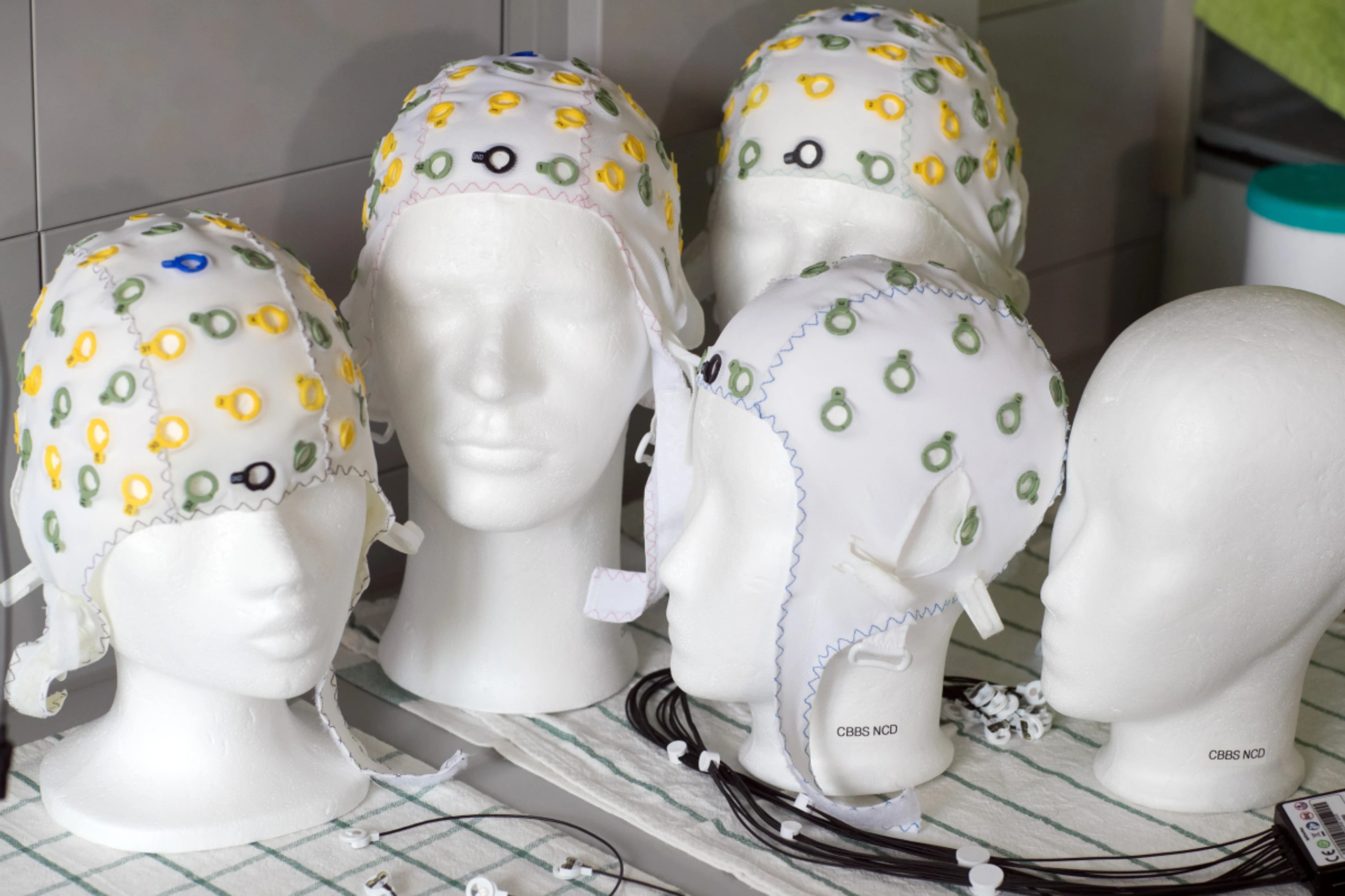 Mit jeder dieser Altersstufen beginnt eine neue Epoche der Entwicklung