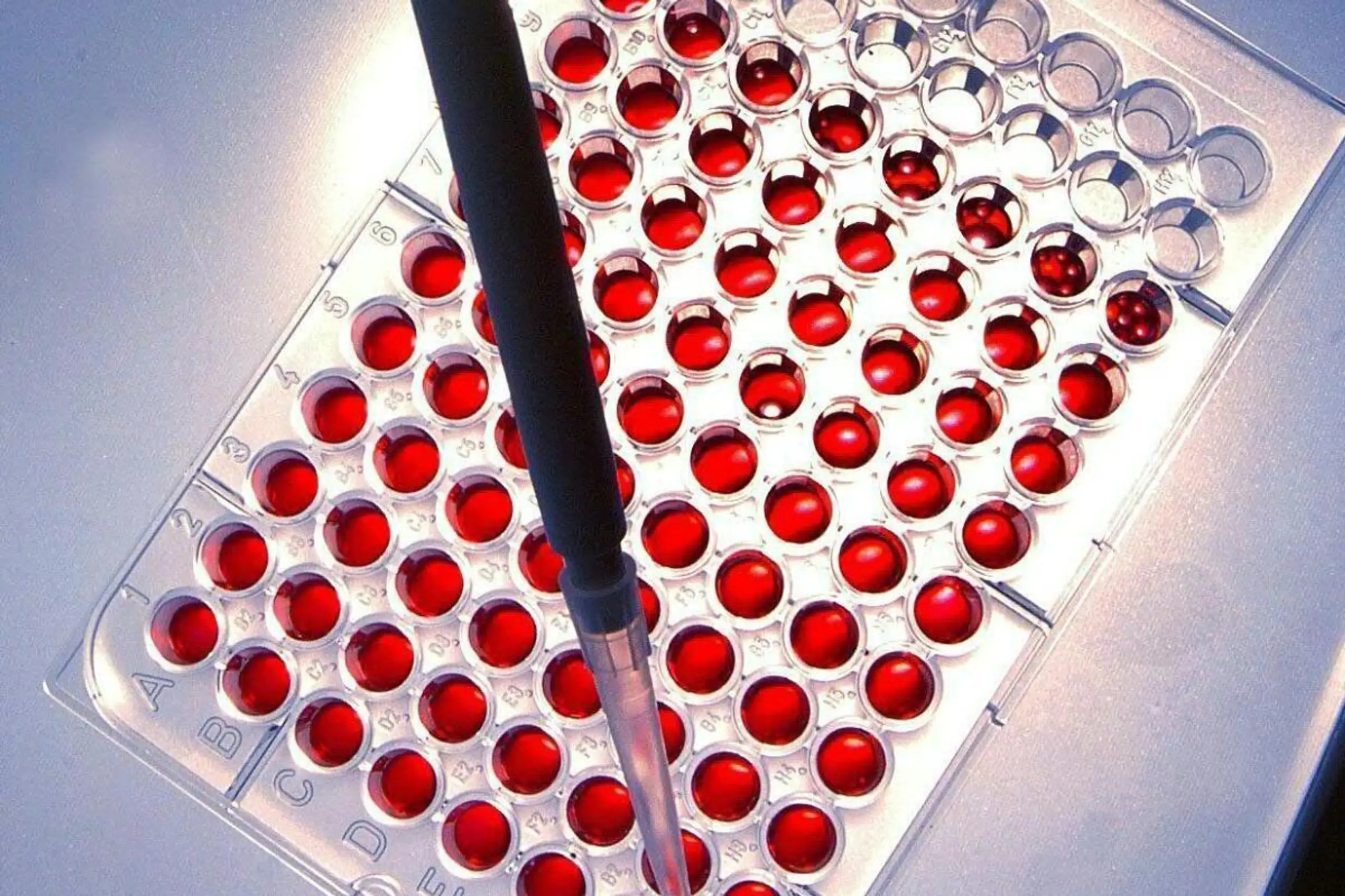 "Spop" heißt der Held